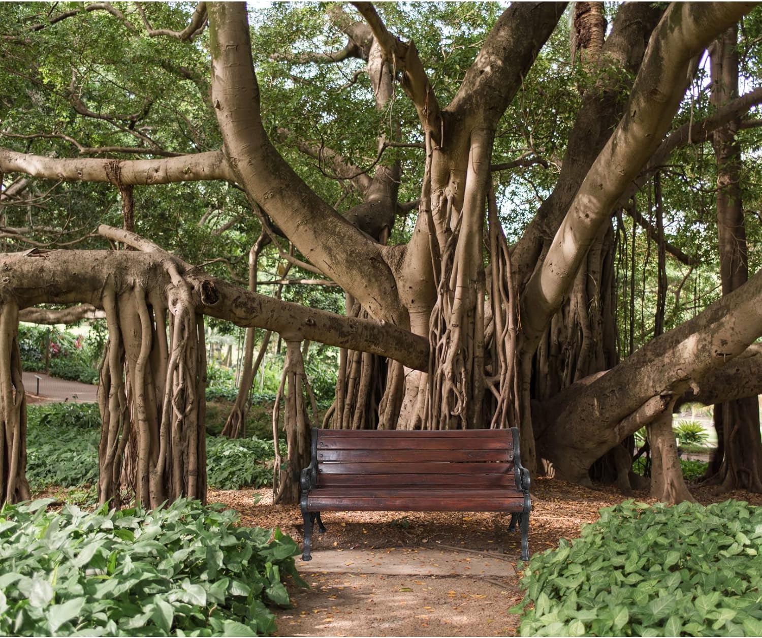 BISCOTTINI Banc de Jardin Bois et Fonte - Banc d'Extérieur 3 Places - Banc Classique Extérieur 145x65x77 cm - 7