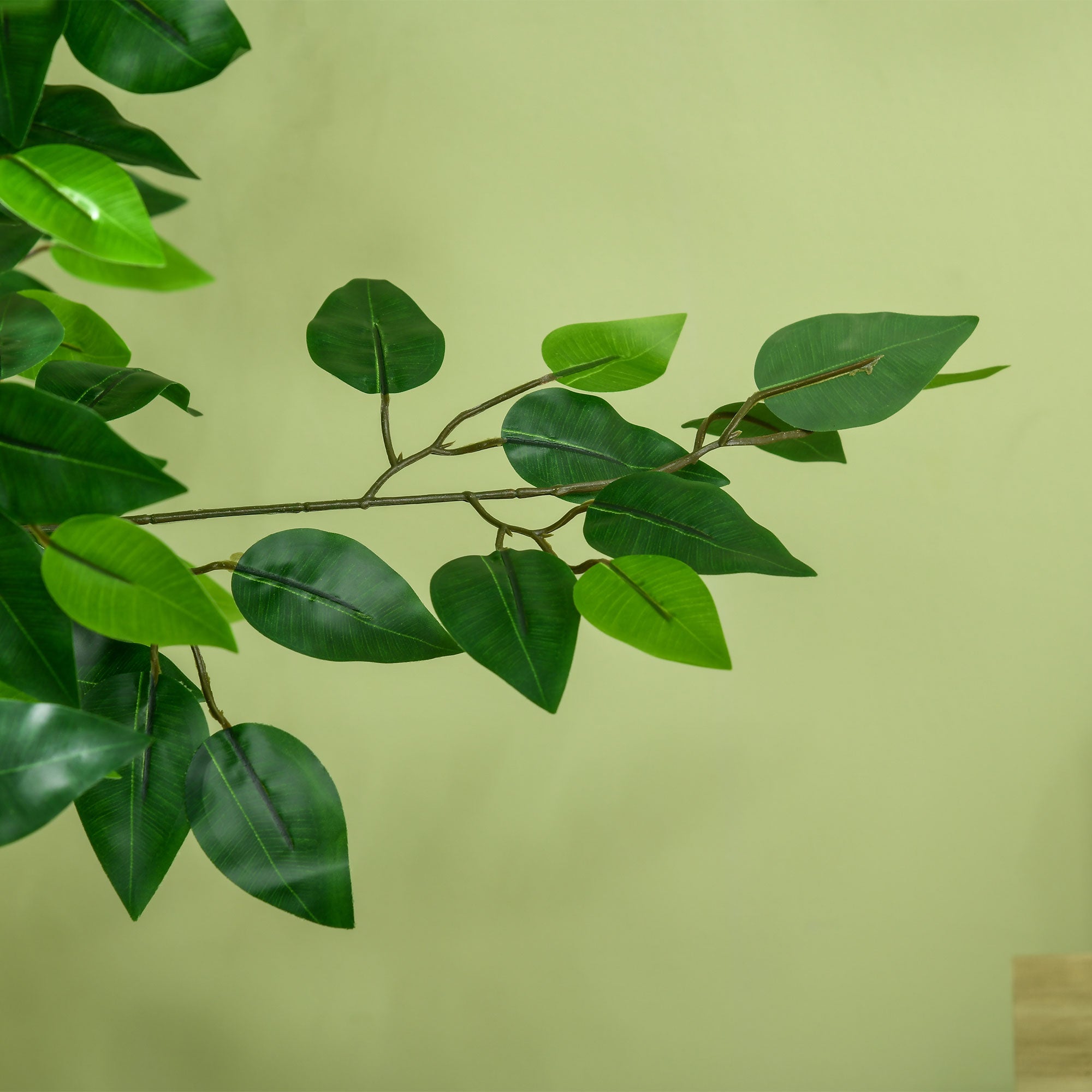 Planta Artificial HOMCOM PEVA Verde 15x15x150 cm - 5