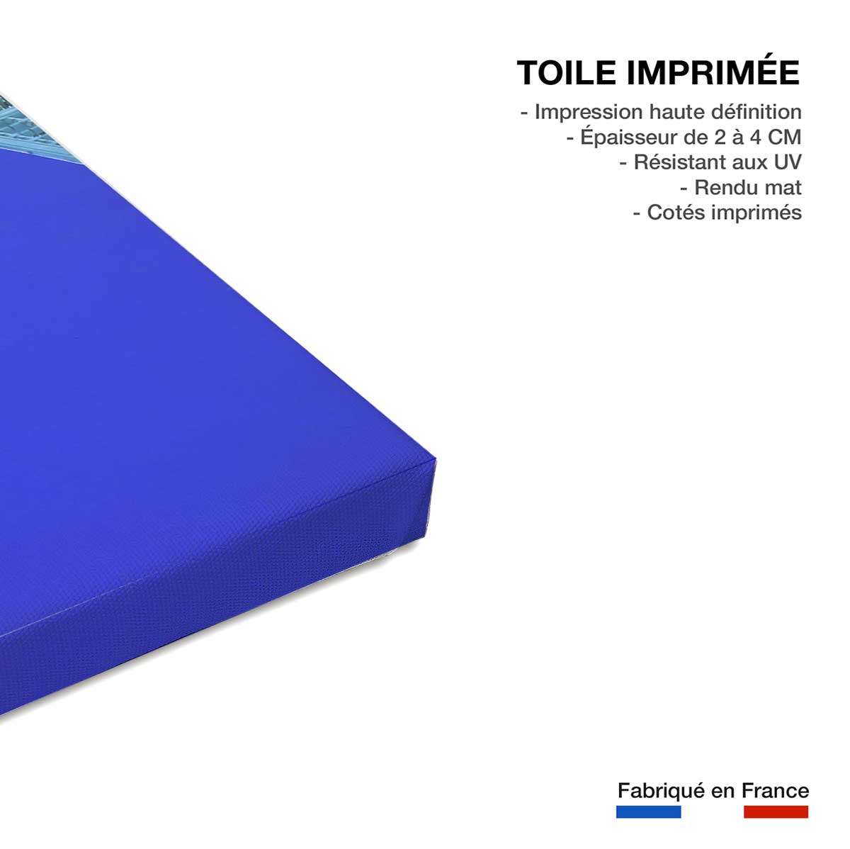 Tableau jardin majorelle - 60x40cm - 4