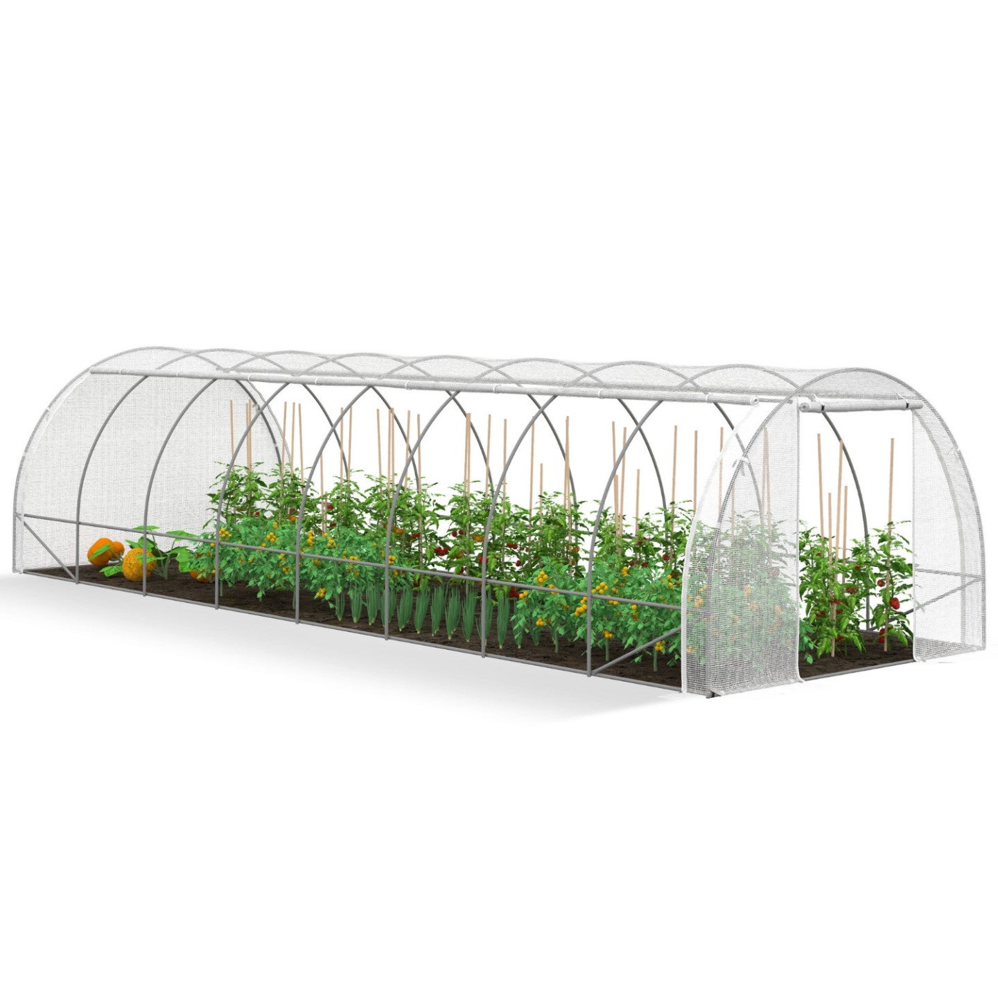Serre de jardin tunnel 24m² 8 x 3 x 2 m acier galvanisé + bâche anti-UV avec porte et fenêtres DES ANDES blanche toutes saisons - 2