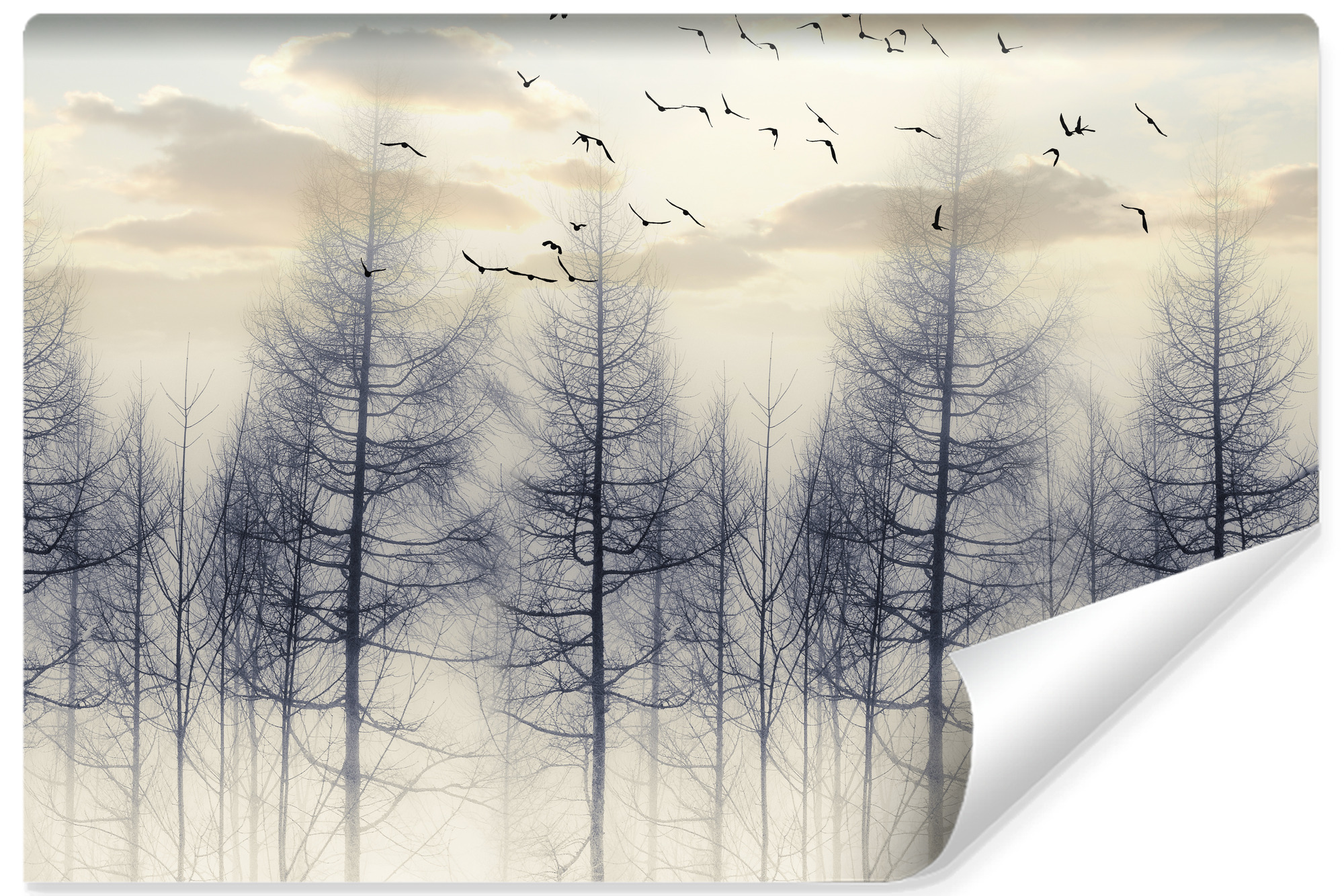 Vlieseline papel pintado fotografia bosque niebla nubes 3d para el salón 405cm x 270cm