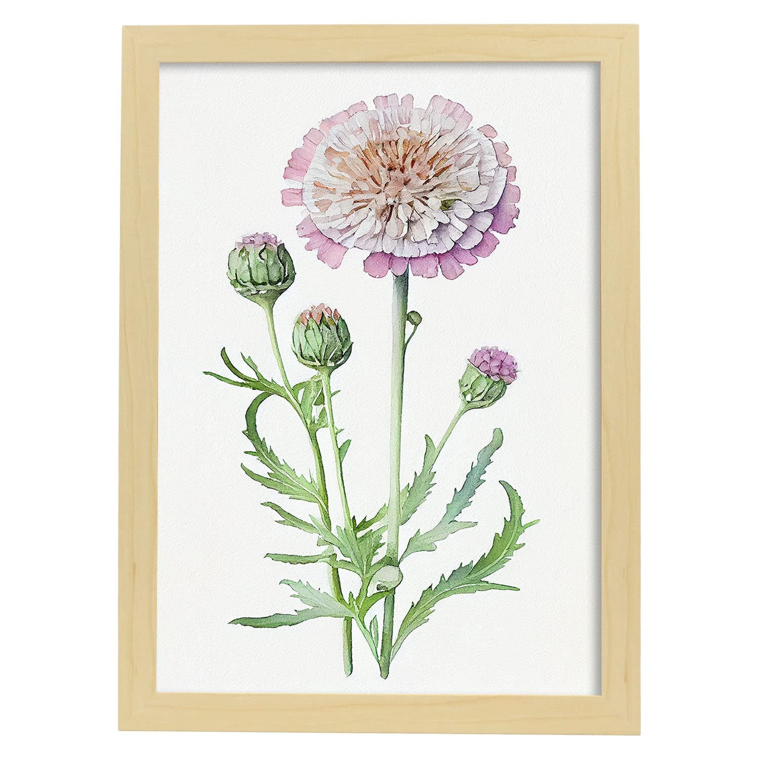 Nacnic poster de escabiosa estilo nórdico ilustraciones de botánica con flores y plantas en acuarela y modelo 4 a3 con marco de madera clara
