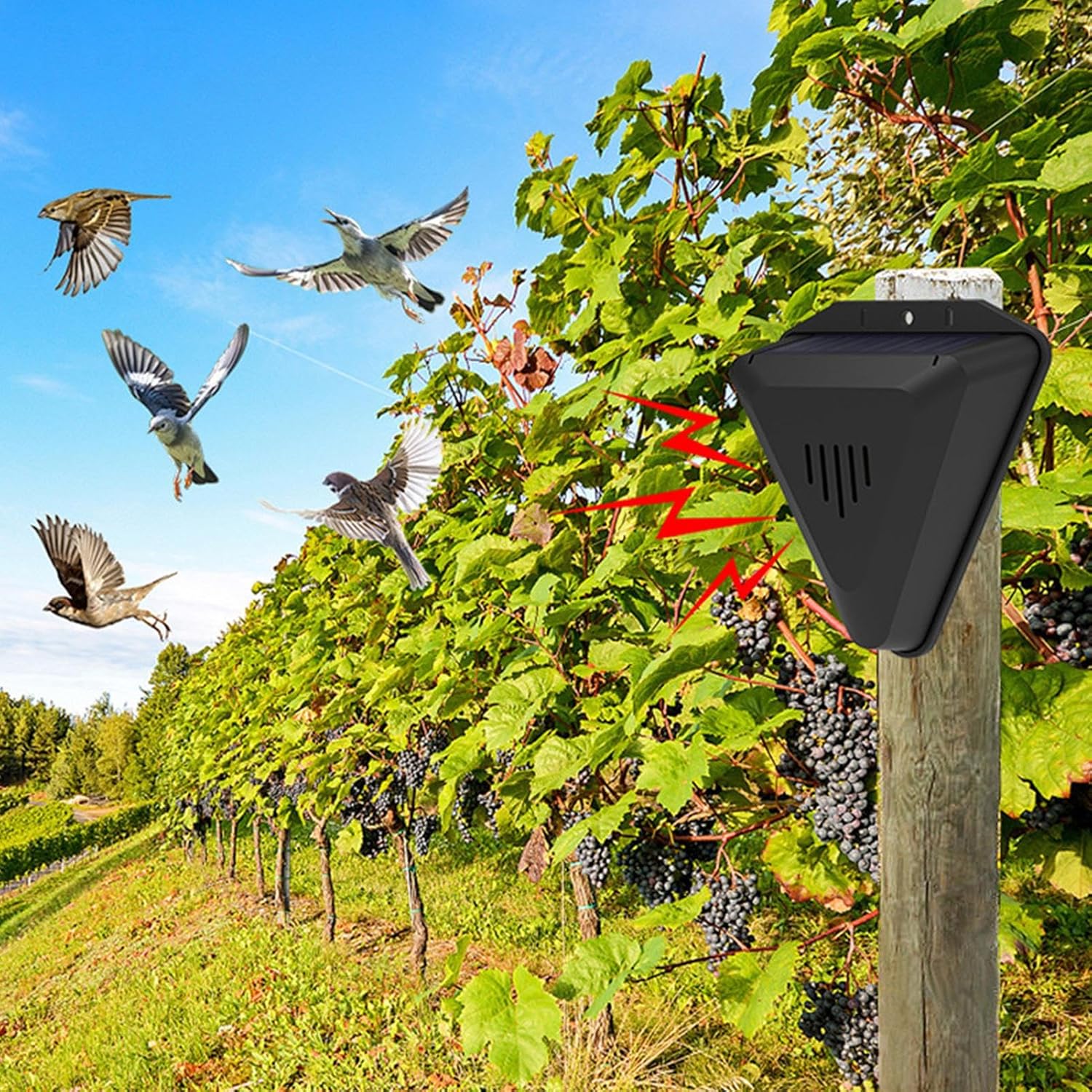 Répulsifs solaires anti-oiseaux - répulsifs ultrasoniques pour animaux - pour la faune, répulsif anti-pigeons pour chats, pigeons, lapins et oiseaux - 6