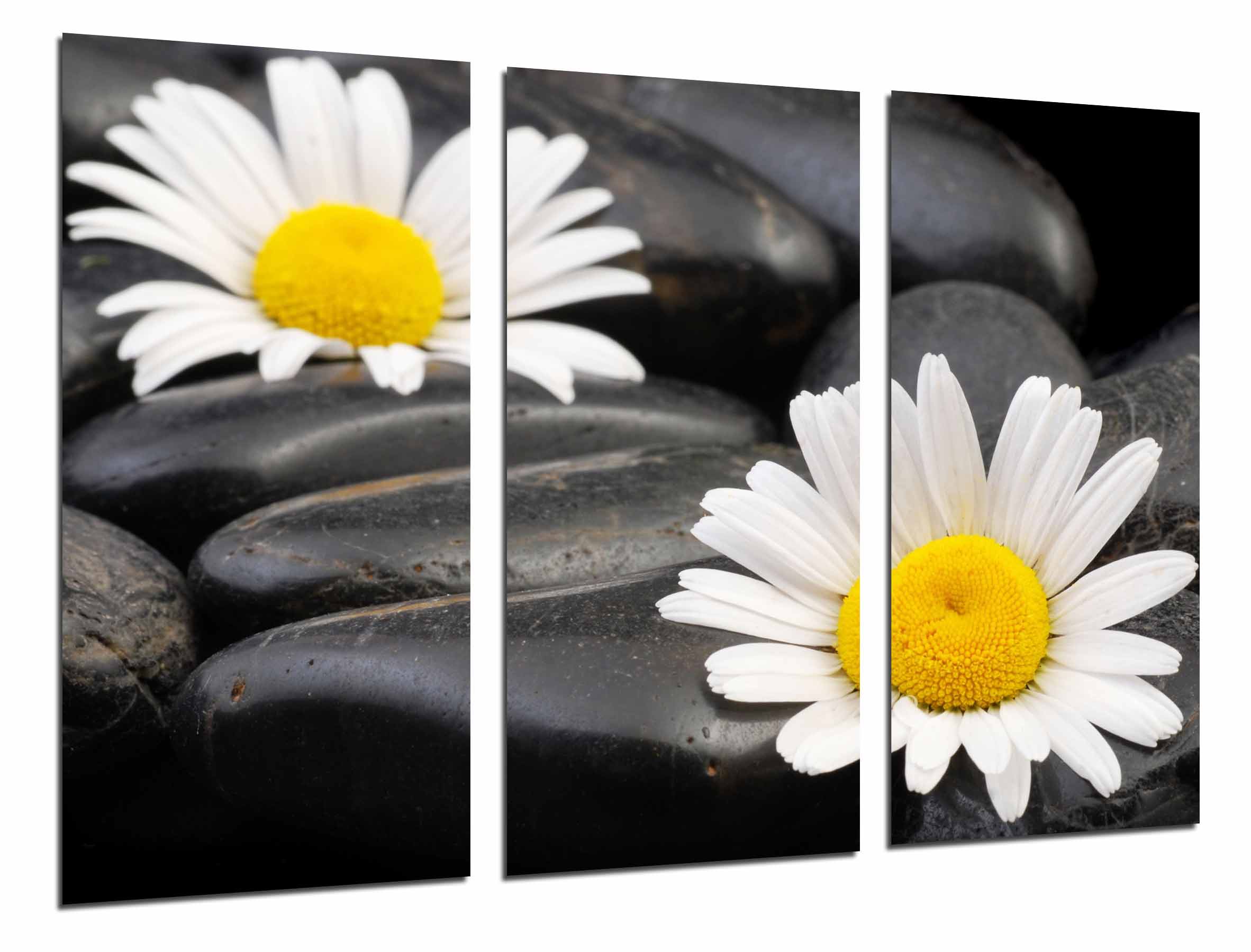 Decoracion zent flores, margaritas sobre piedras, impresión fotográfica sobre madera, cuadro moderno decorativo