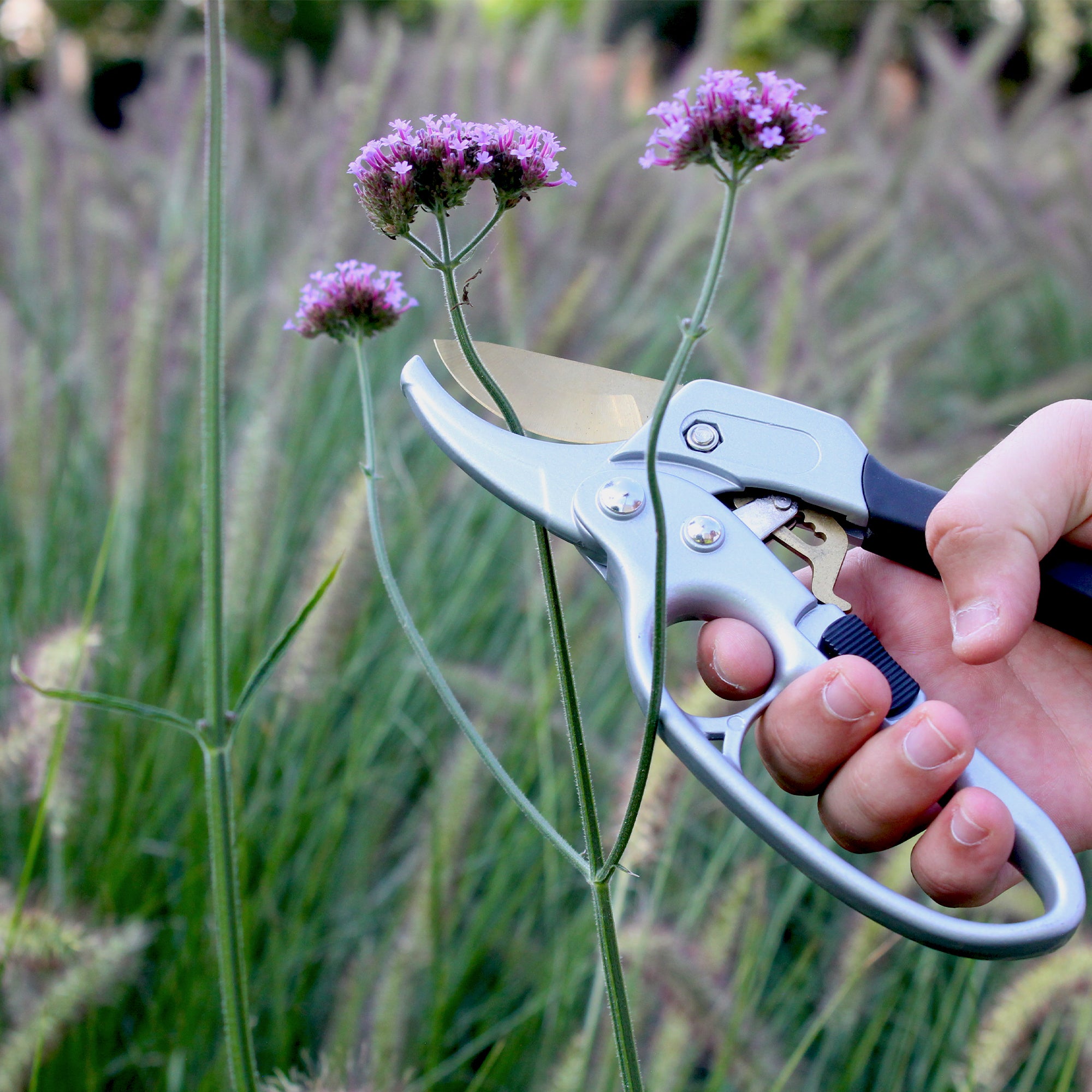 FISHTEC Secateur de Jardin Titanium a cremaillere - Poignee Ergonomique Antiderapant - Coupe Nette (Branches jusqu'a 20 mm) - 20 CM - Gris & Noir - 8