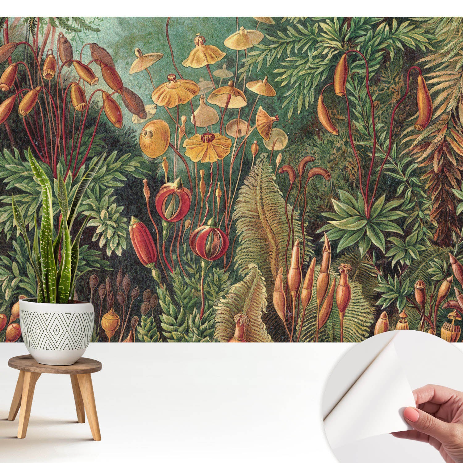 Samoprzylepna tapeta dekoracyjna stylowa nowoczesny motyw 208x146 cm - Egzotyczna roślinność w harmonijnej kompozycji TULUP