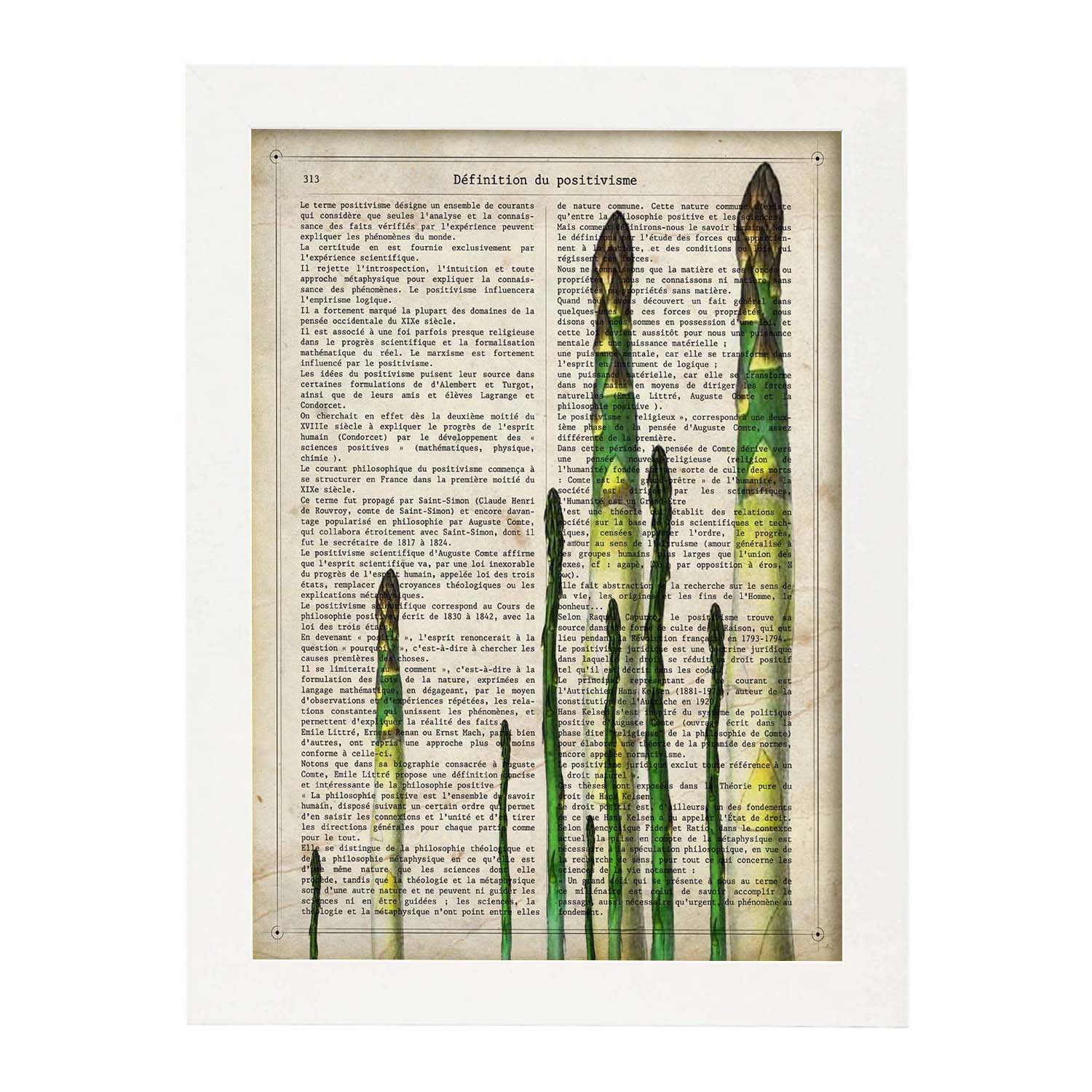 Poster de esparragos. láminas de frutas y verduras con definiciones. ilustraciones de alimentacion vegetariana. marco negro - a3