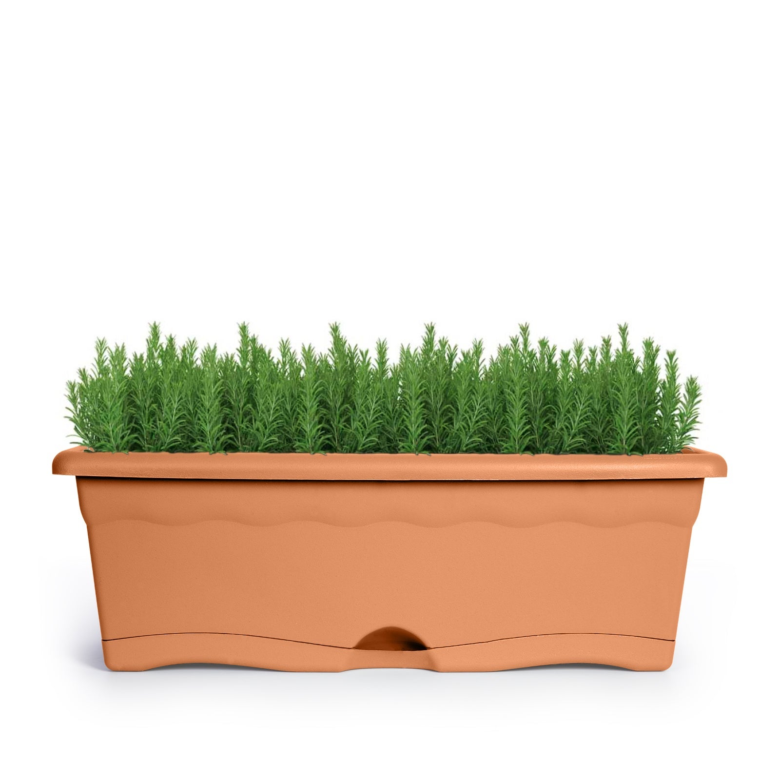 Jardinière avec plaque intégrée couleur anthracite 80x20cm - 4