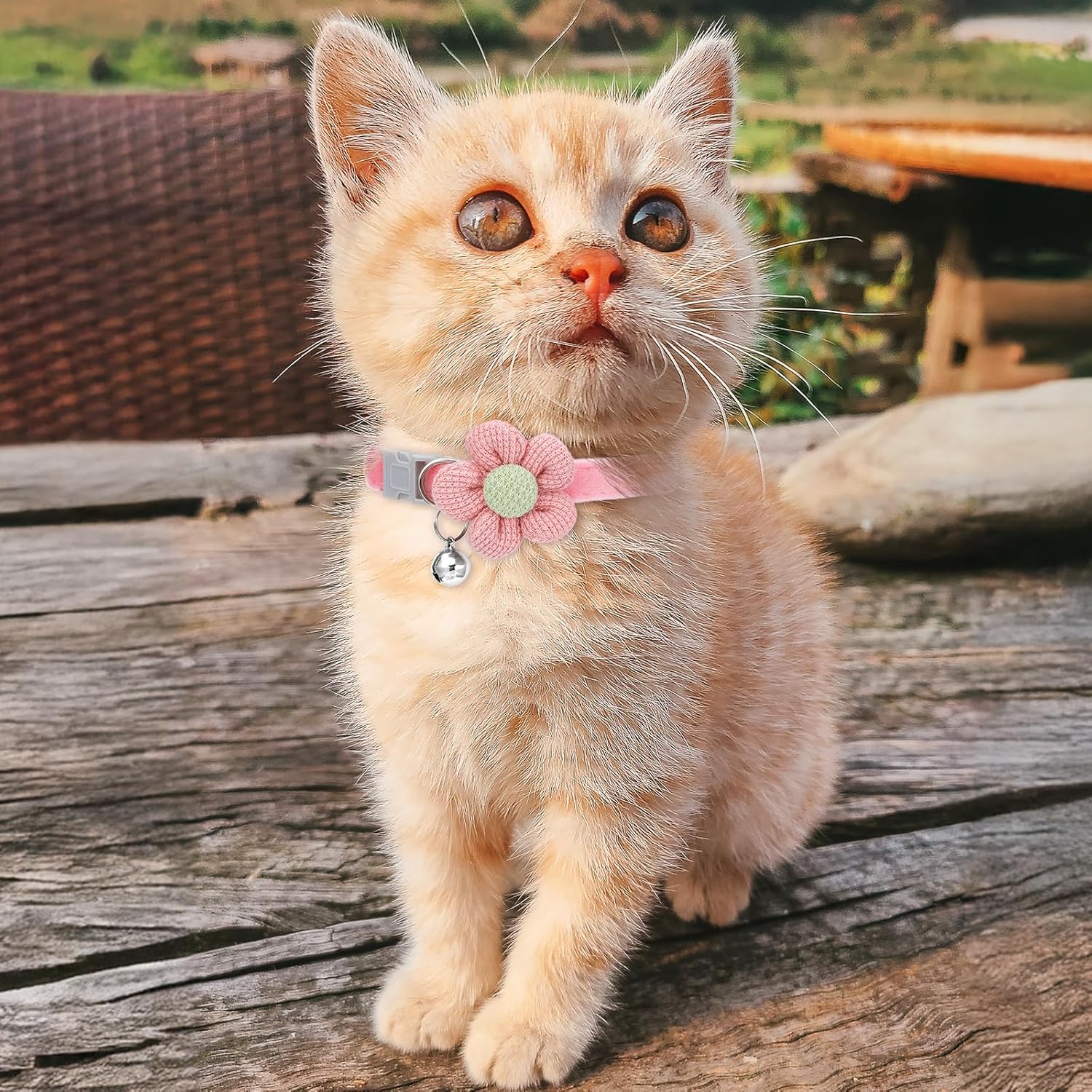 Coleira para gatos com sino, estampa floral para animais de pequeno porte, coleira para gatos, cachorros e coelhos (rosa, bege) - 5