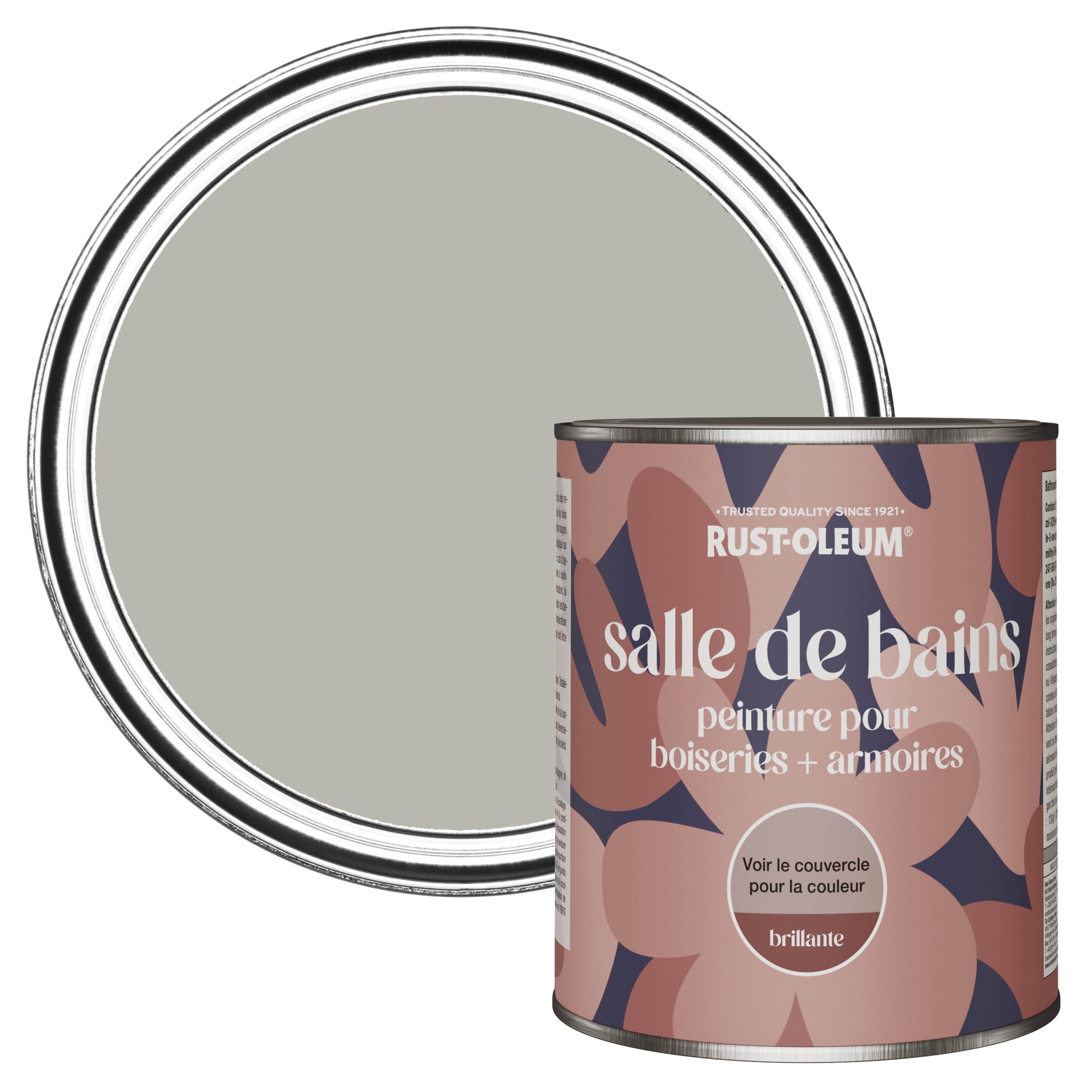 Peinture Grise résistante à l'eau pour Meuble de Salle de Bains ...