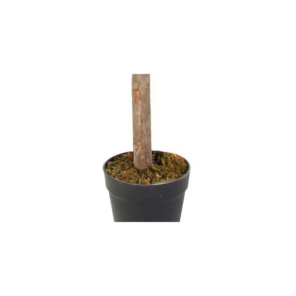 Plante Artificielle - Home Deco Factory - Citronnier - Vert Et Jaune - 7