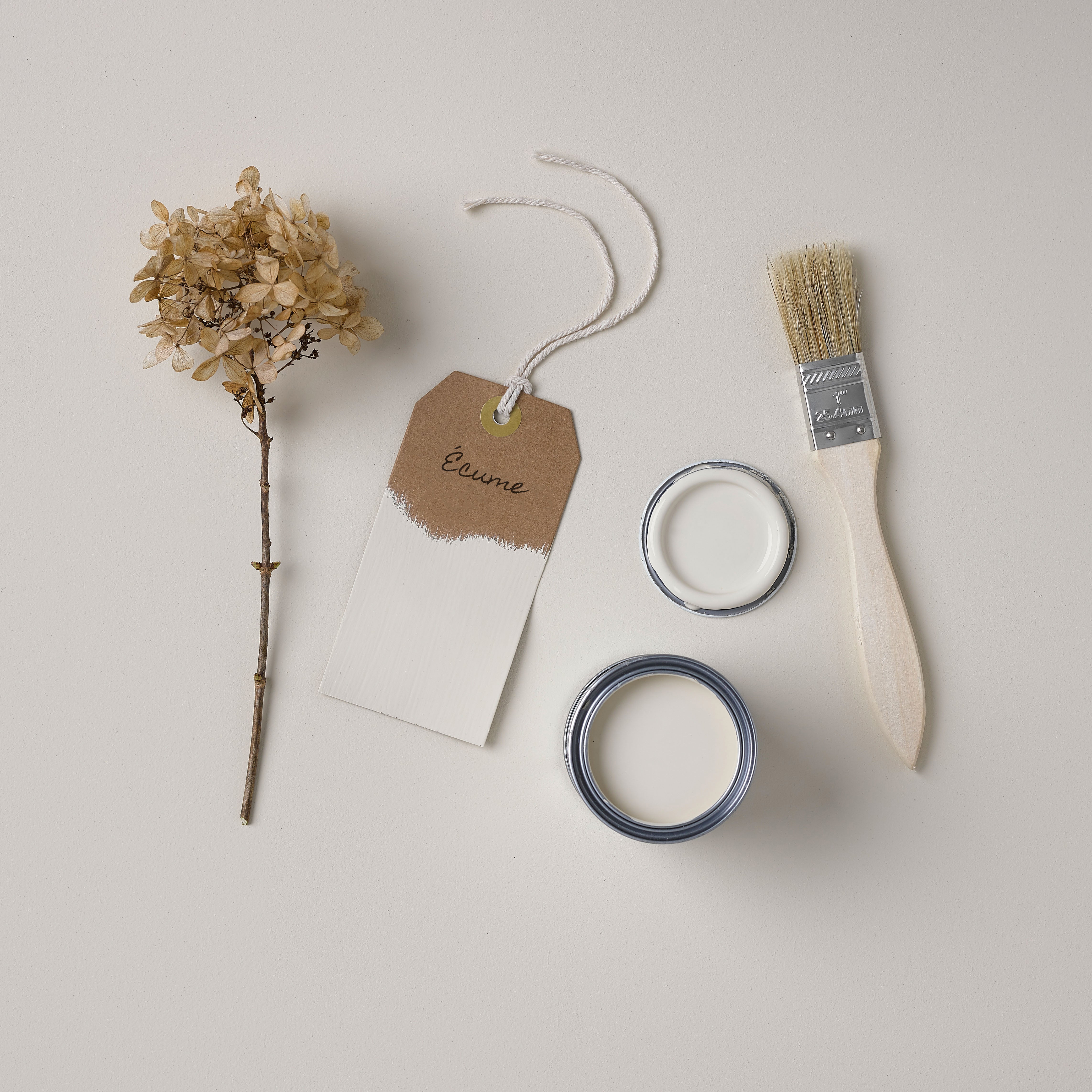 Peinture Beige pour Meubles Chalky Mat Poudré RUST-OLEUM - Écume 750ml (10,5m² avec un pot) - 4