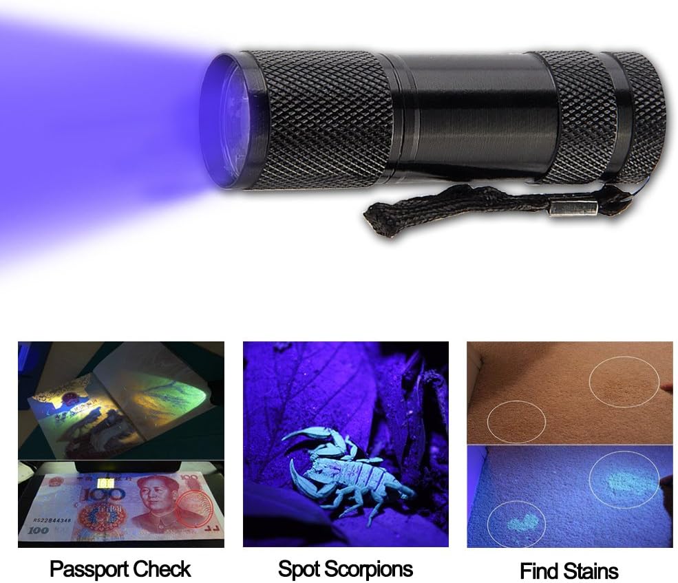 Mini Lampe UV LED de Poche 395nm - Idéale pour Détection de Taches d'Urine, Vêtements, Moquettes et Tapis - 3