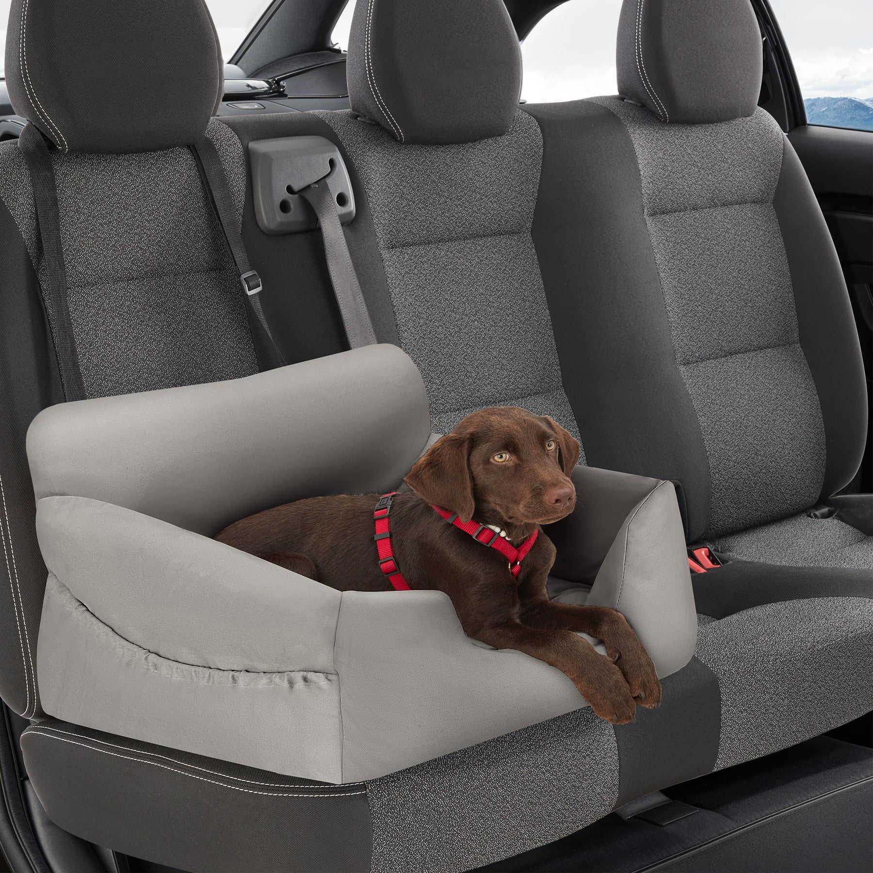TECTAKE Assento de carro para cães Com 1 correia de segurança e 2 cintos de fixação, ajustável em comprimento - 3