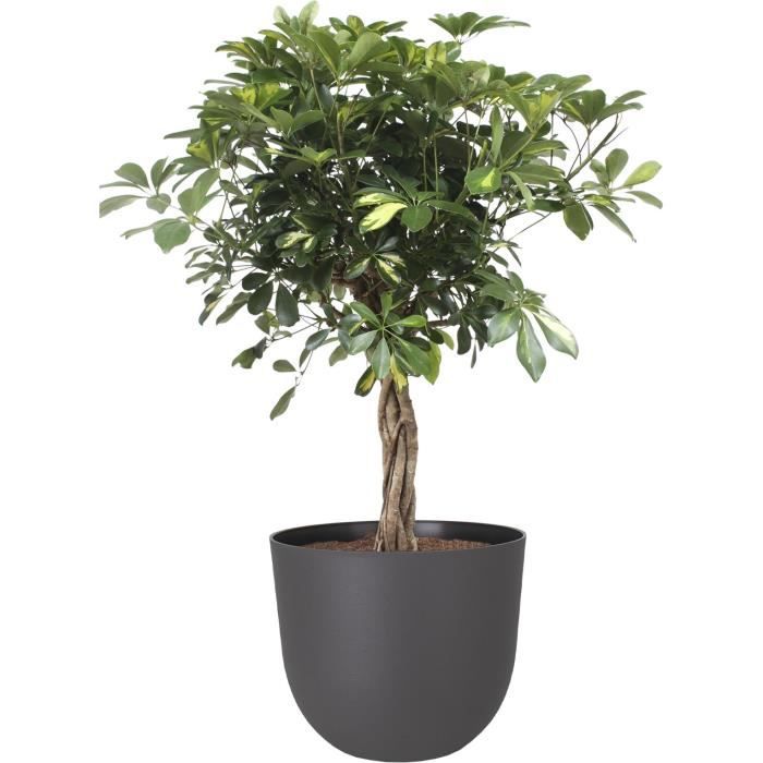 ARTEVASI - Pot havana natural 30cm vulcain 30 x 30 x h24,9 cm - 0,91l - 4
