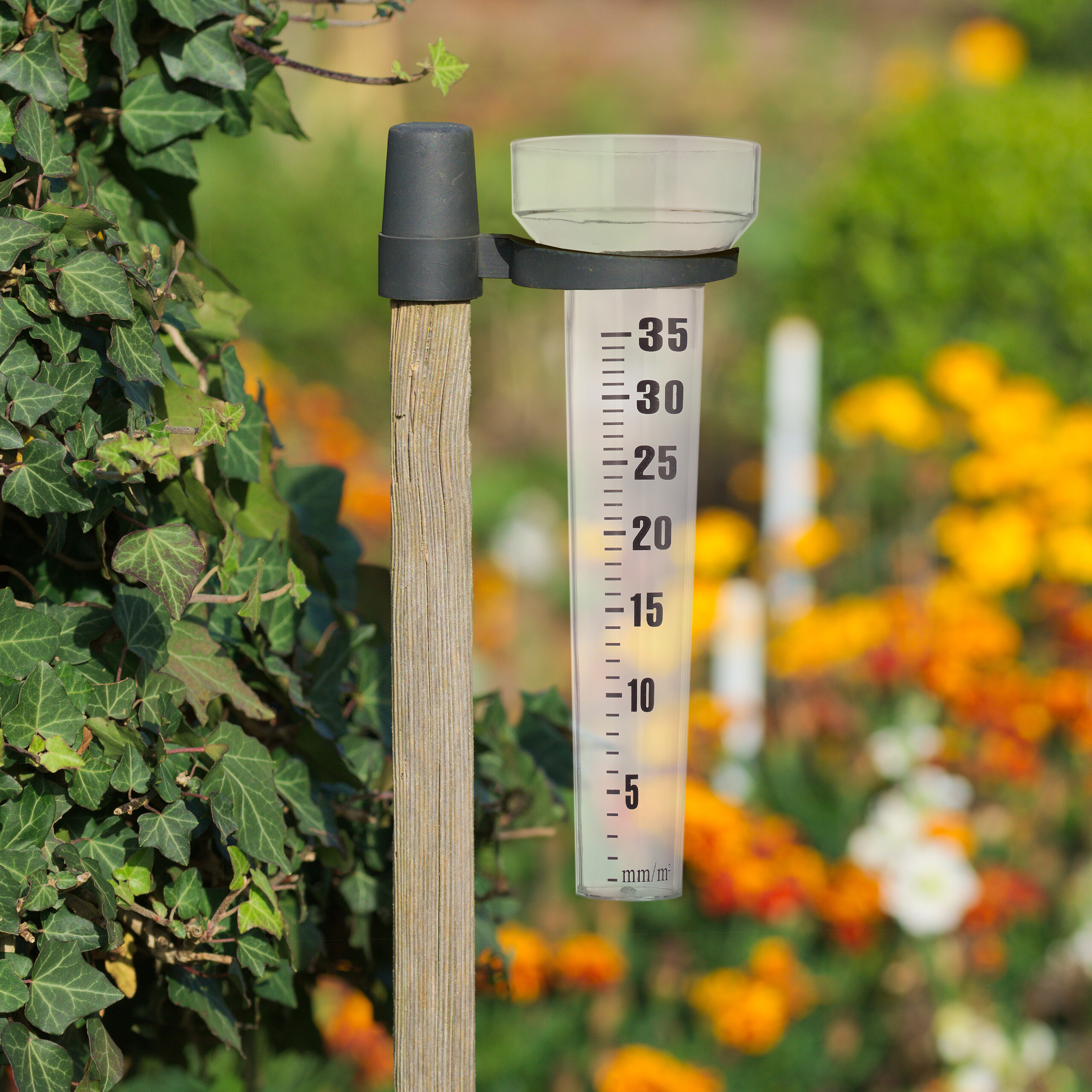 Pluviometro Per Esterni In Vetro Con Picchetto Metallico, Scala Numerica, Capacità 17,8 Cm, Resistente Al Gelo Per Giardino