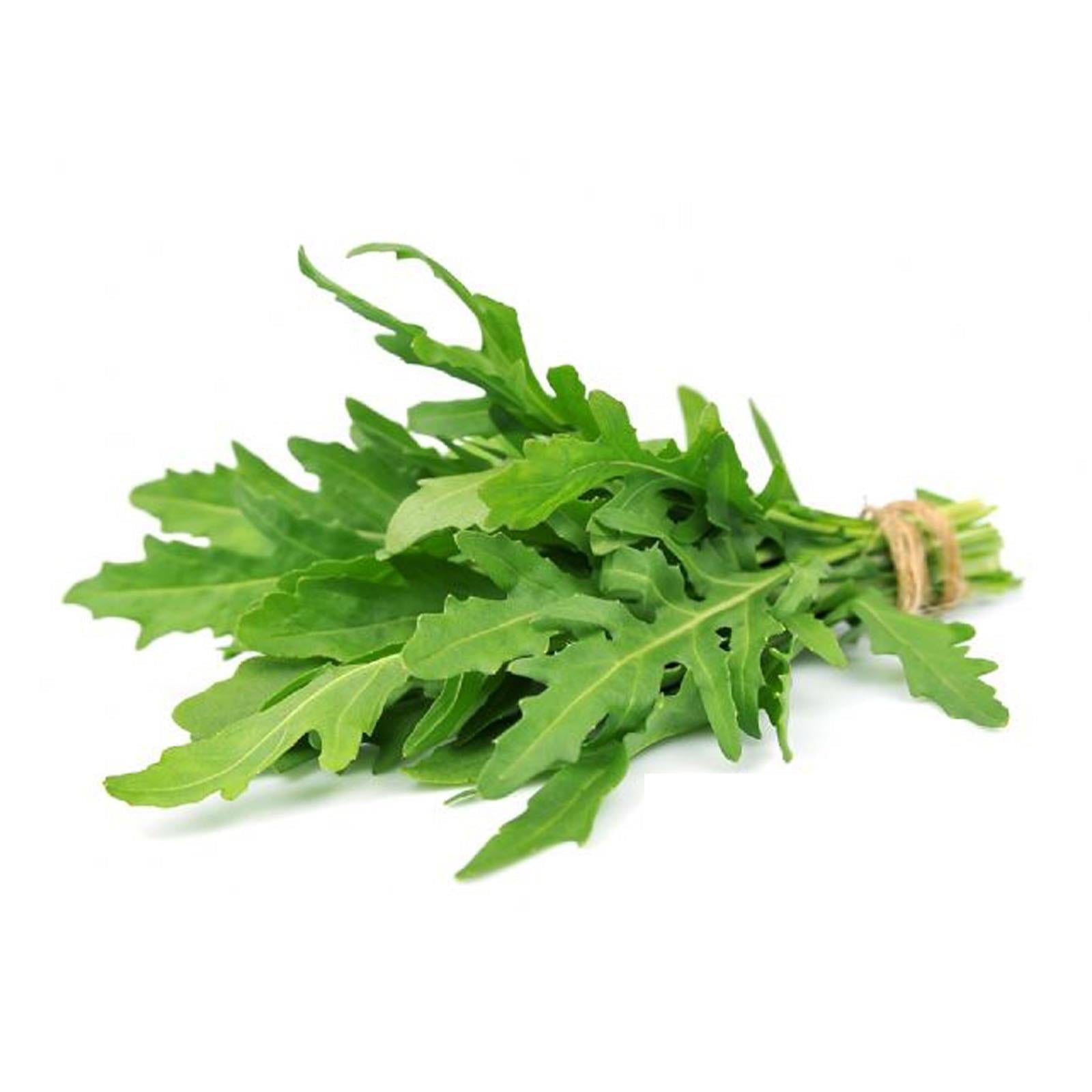 Rucola Selvatica (Semente Biologica) - Aroma Unico E Naturale - Foto 3