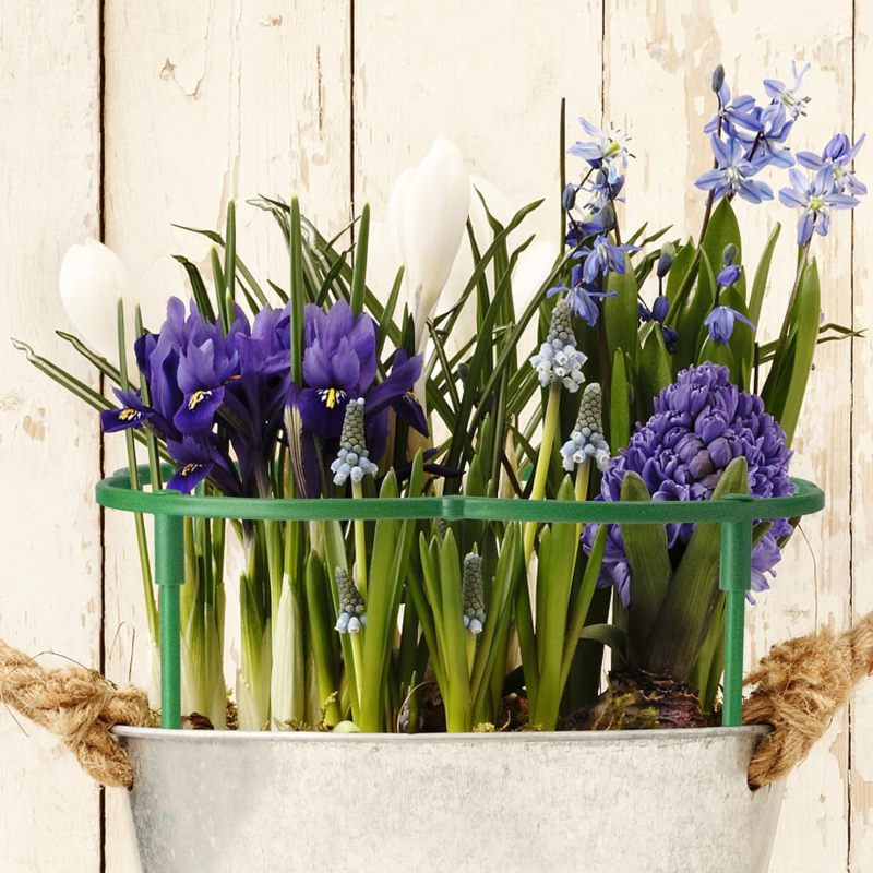 12 tuteurs demi-ronds&nbsp;– empilables 3 niveaux – tomates, monsteras, pivoines, hortensias. - 7