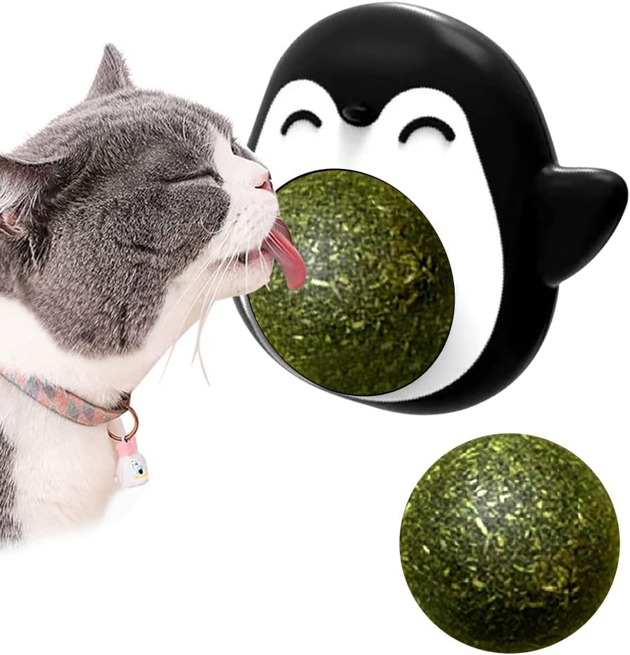 Catnip Juguetes para Gatos Pelota interactiva para Gato Una Bola