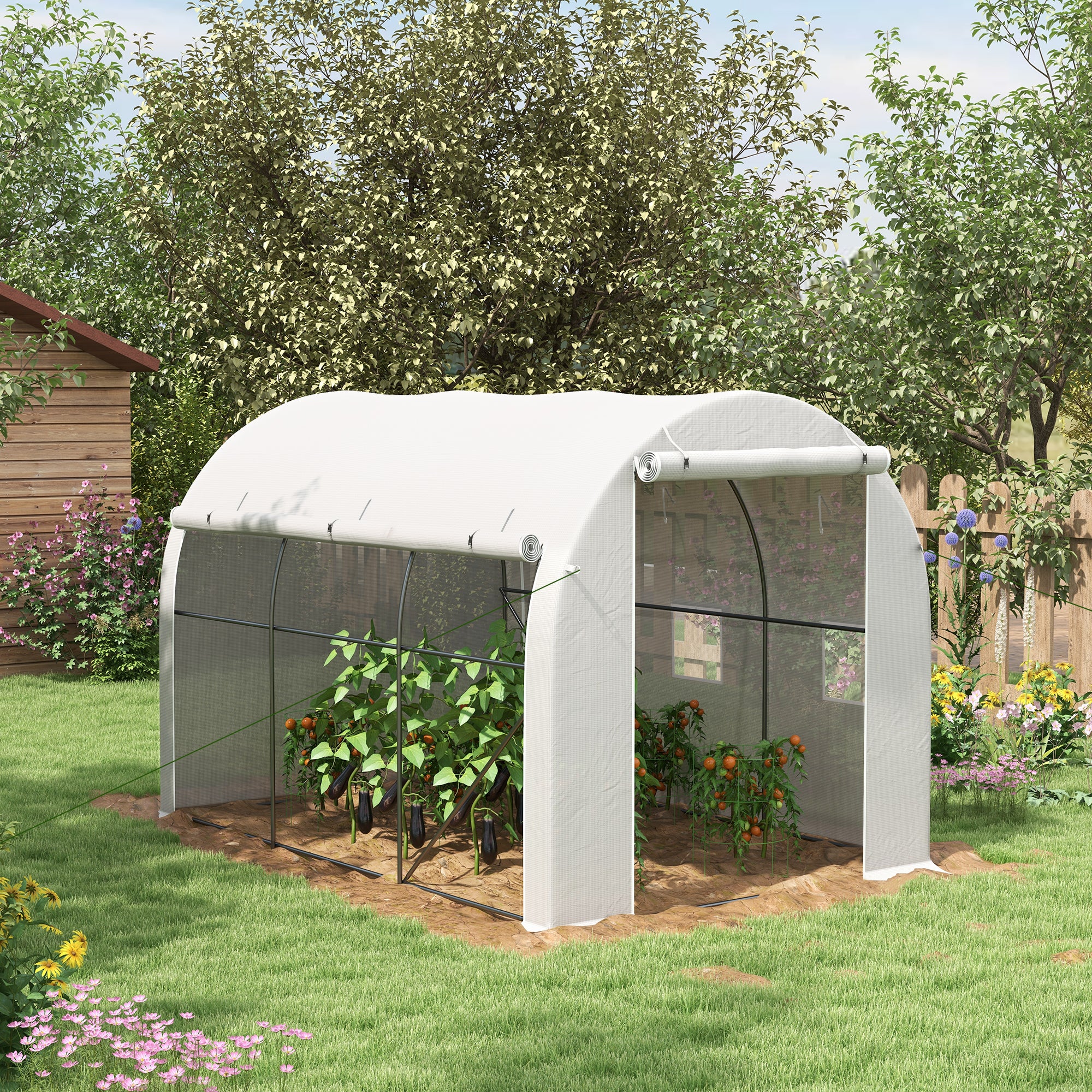 Serre de jardin 6 m² dim. 3 x 2 m avec 1 porte + 2 parois latérales zippées enroulables, 6 fenêtres, Blanc - 3