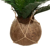 Atmosphera Palmier Artificiel H170 Cm - Arbre Décoratif En Pot