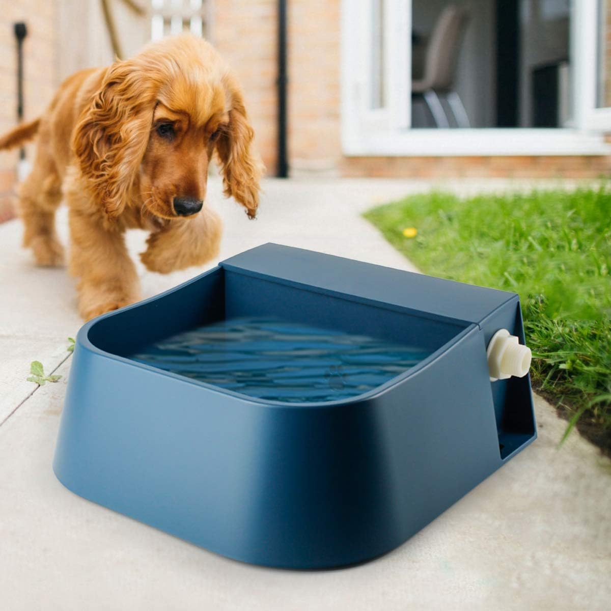 MOVA PWB10A Distributore Di Cibo E Acqua Per Cani E Gatti - 11