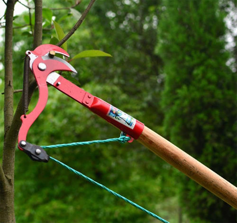 telescopique cueille-fruits télescopique ébrancheurs de jardinage coupe branche telescopique elagueuse sur perche scie d'élagage télescopique sécateu - 4