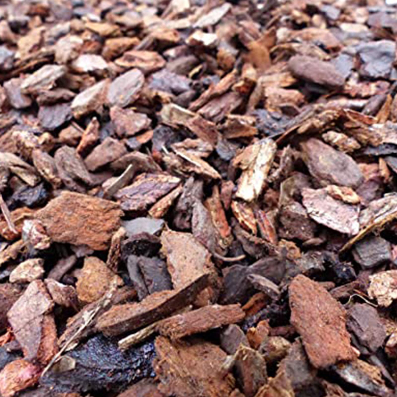 Corteccia Di Pino Marittimo Francese NG Niccolai - Sacco 60L, Per Pacciamatura E Decorazione, Pezzatura Grossa 20-40mm - Foto 5