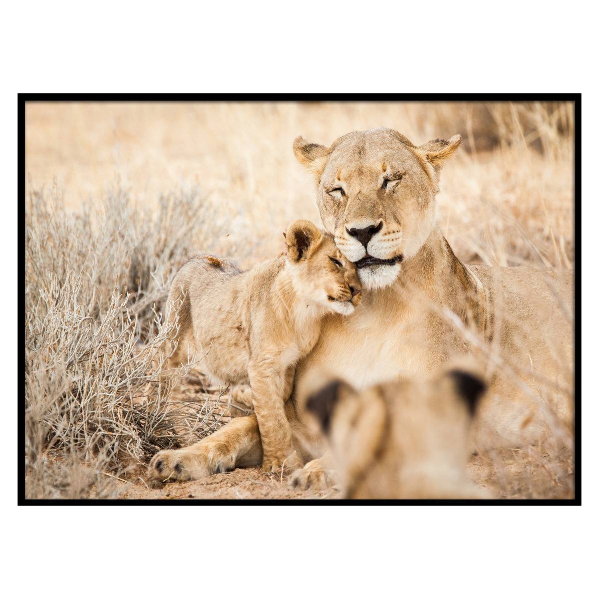 Atmosphera Aufkleber Aus PVC – 50x70 Cm, Selbstklebend, Für Wanddekoration & Deko