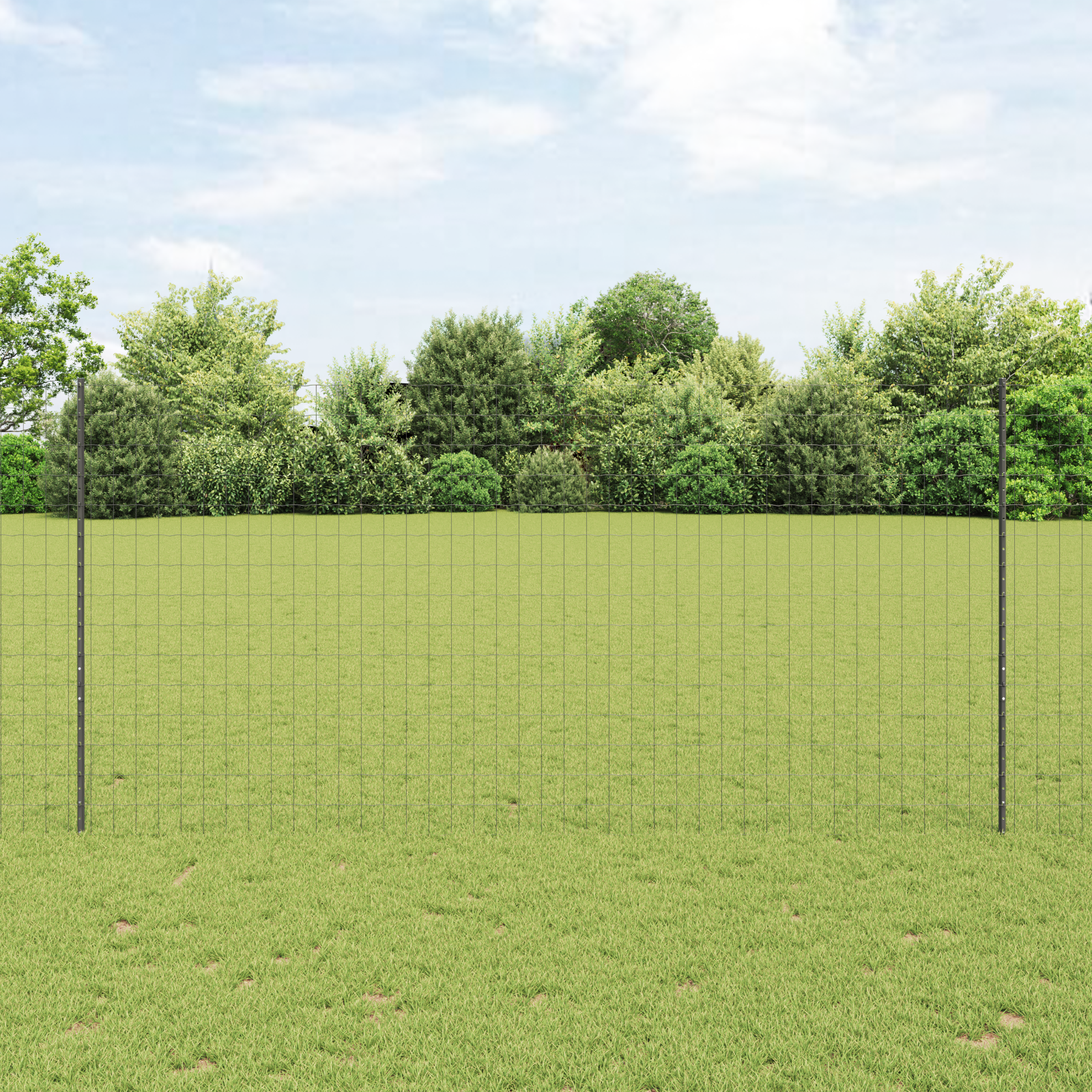 Clôture de jardin | Clôture Euro avec 10 Piquets Grise 1,5x10 m en Acier CFW23459 - 2