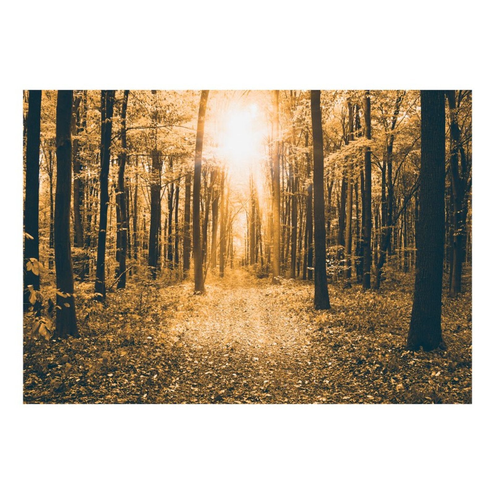 Papier peint lumière magique - 300 x 210 cm - 2