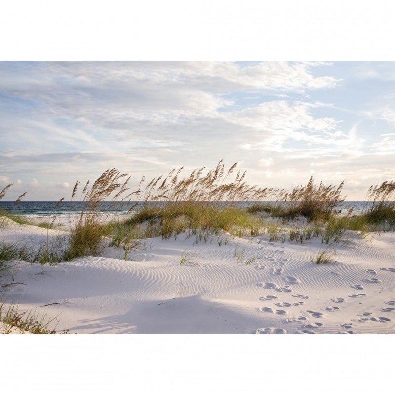 Tableau Mural En Verre ARTTOR - Plage De Sable Et Oiseaux - 100x40 Cm - Décoration Moderne