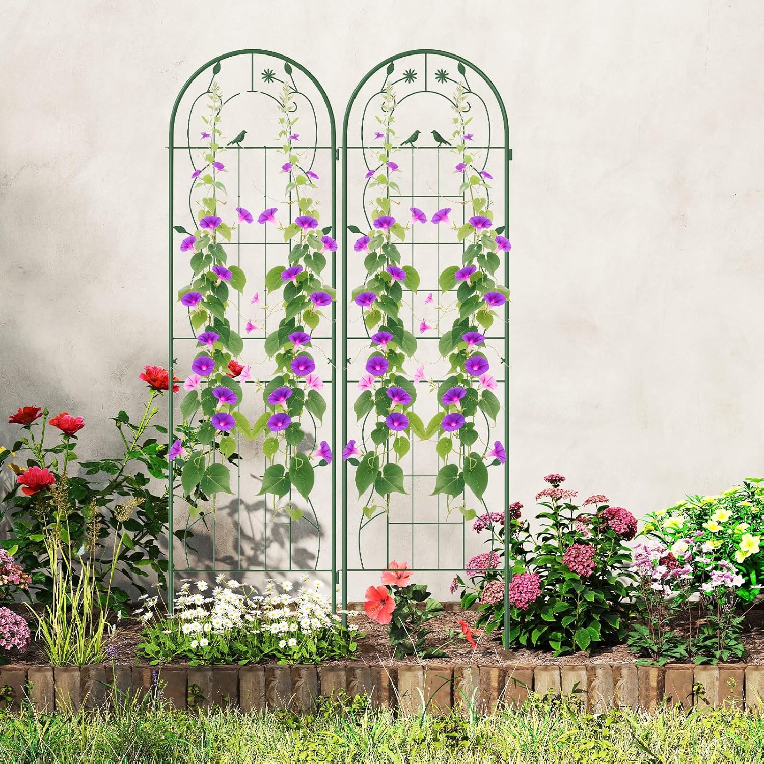 Zestaw 2/4 Krat Ogrodowych do Roślin Pnących, Kraty do Roślin 1,8 m z Ocynkowanego Metalu, Warzywa, Winorośle (Zielony Słonecznik, 50 x 180 cm, 2) - 8