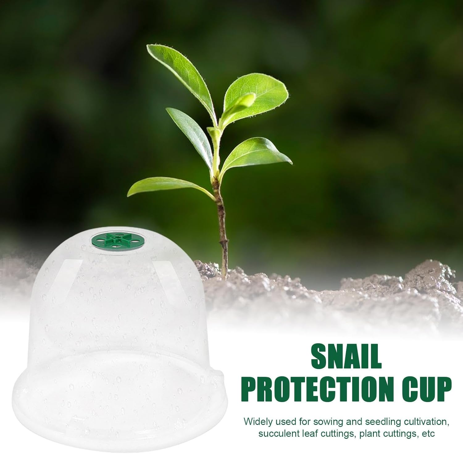 Generisch Lot de 10 Cloches de Jardin Transparentes réglables pour protéger Les Contre Les escargots et Les Oiseaux - 3