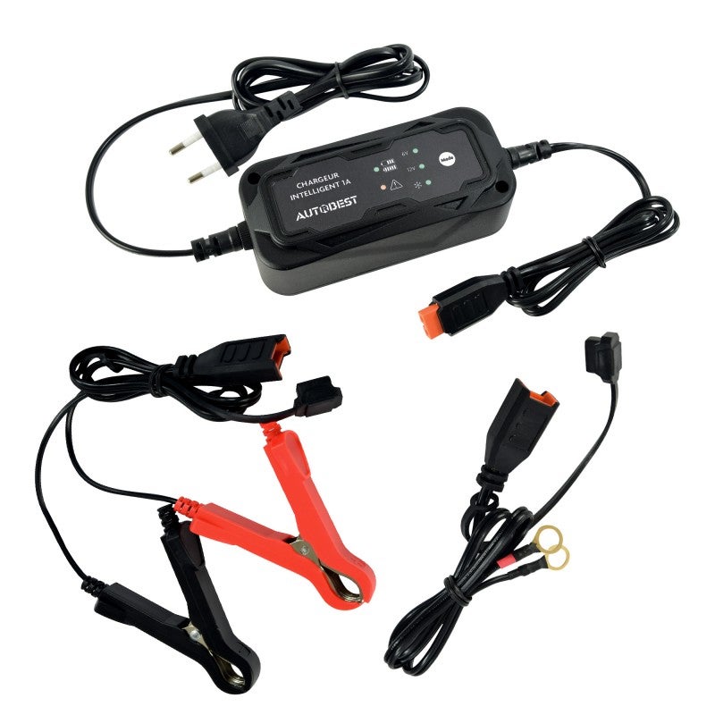 Chargeur de batterie moto - maintien de charge 6V / 12V - 2