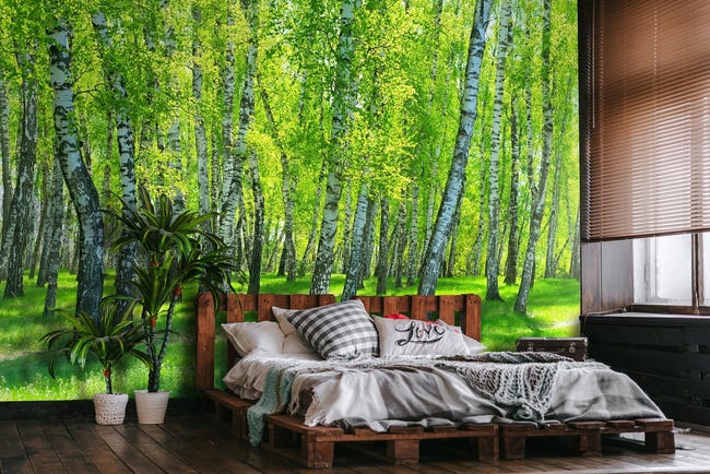 Carta Da Parati Finestra Foresta Alberi Natura 312x219 Cm - Include Colla - Moderna Soggiorno