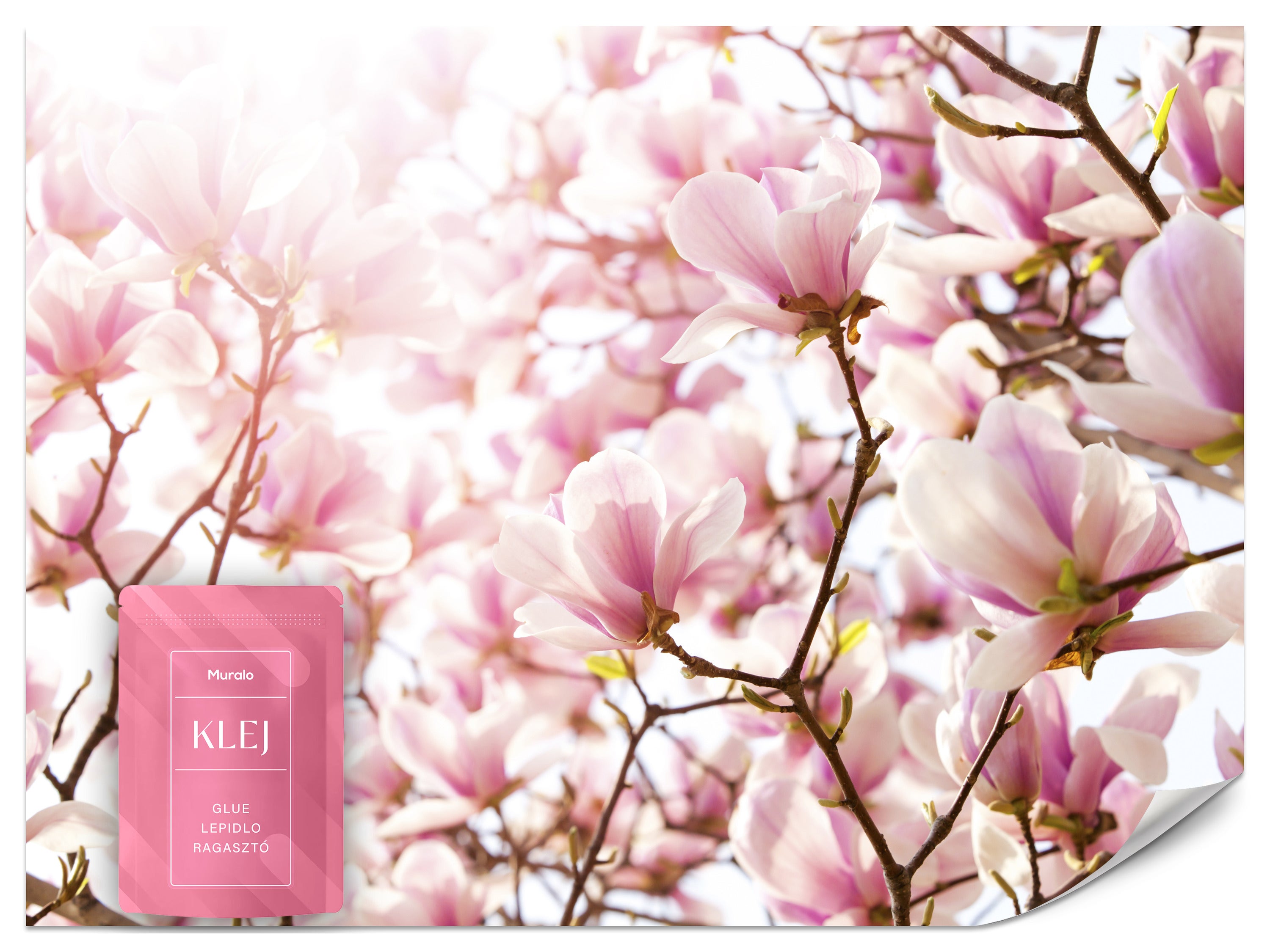 FOTOTAPETA DO SYPIALNI SALONU RÓŻOWE MAGNOLIE KWIATY NATURA WZÓR 3D 100x70