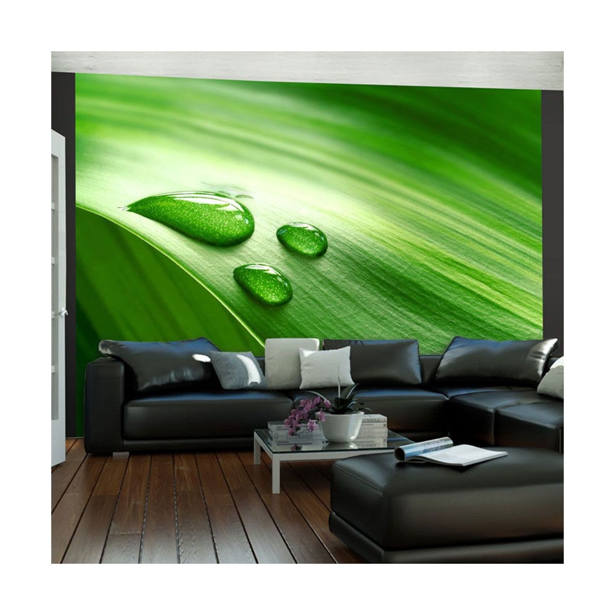 Papier Peint "Feuille & Trois Gouttes d'Eau" 193 x 250 cm | Leroy Merlin