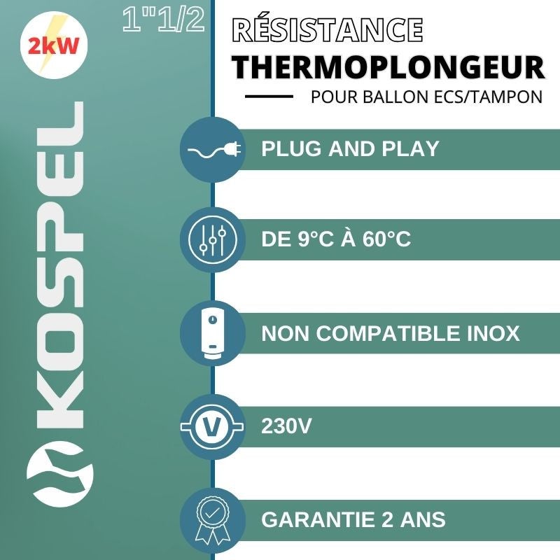 Résistance électrique avec thermostat 2 kW - 230V - 2