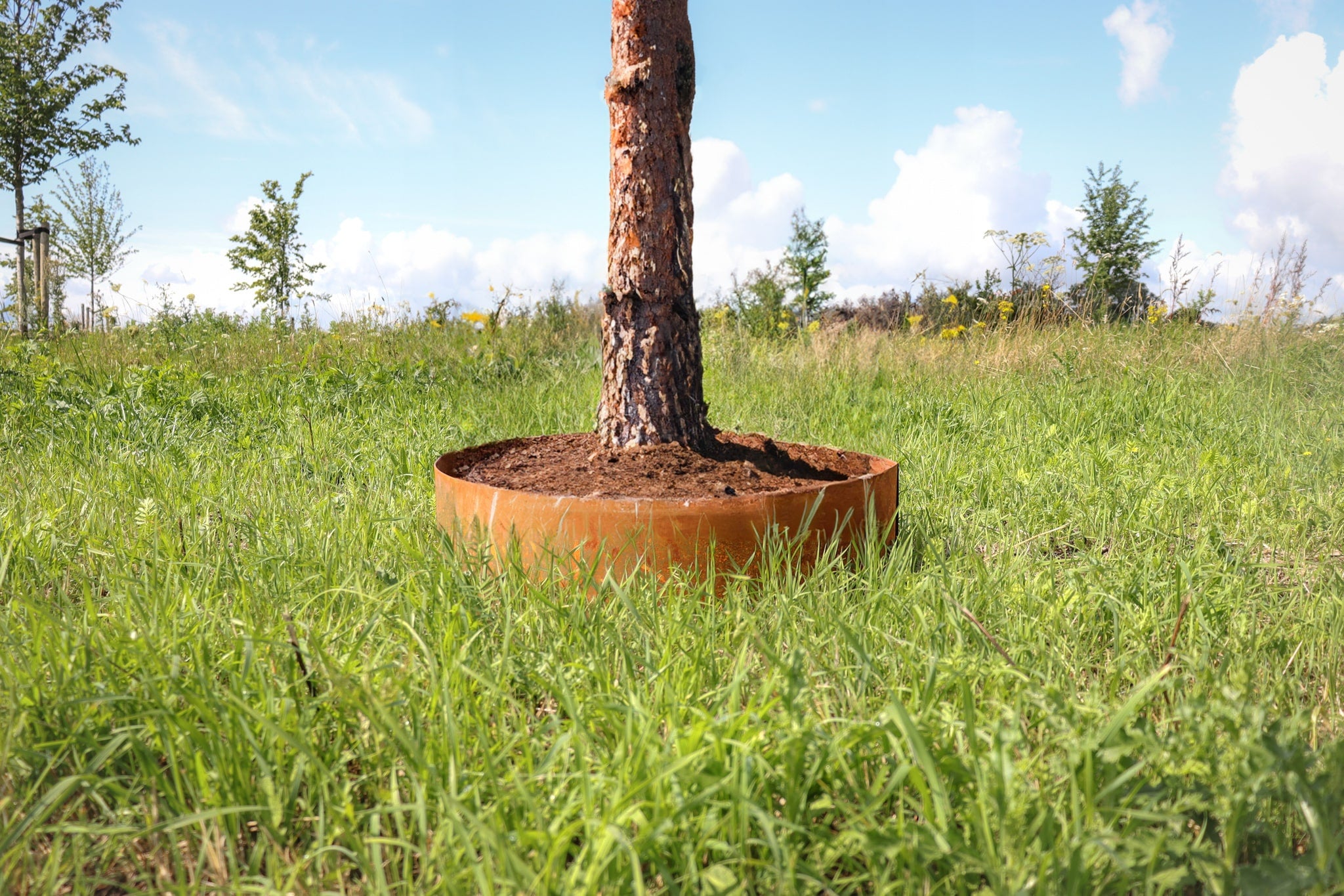 Wovar Bordure arbre acier Corten Ø 100 cm - Par pièce - 2