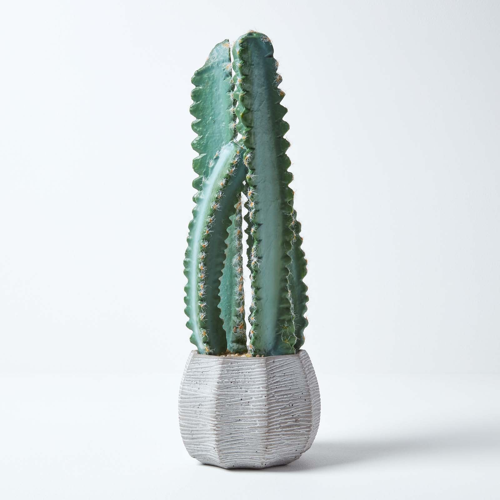 Homescapes Cactus artificiel Hylocereus en pot gris texturé 49 cm - 5