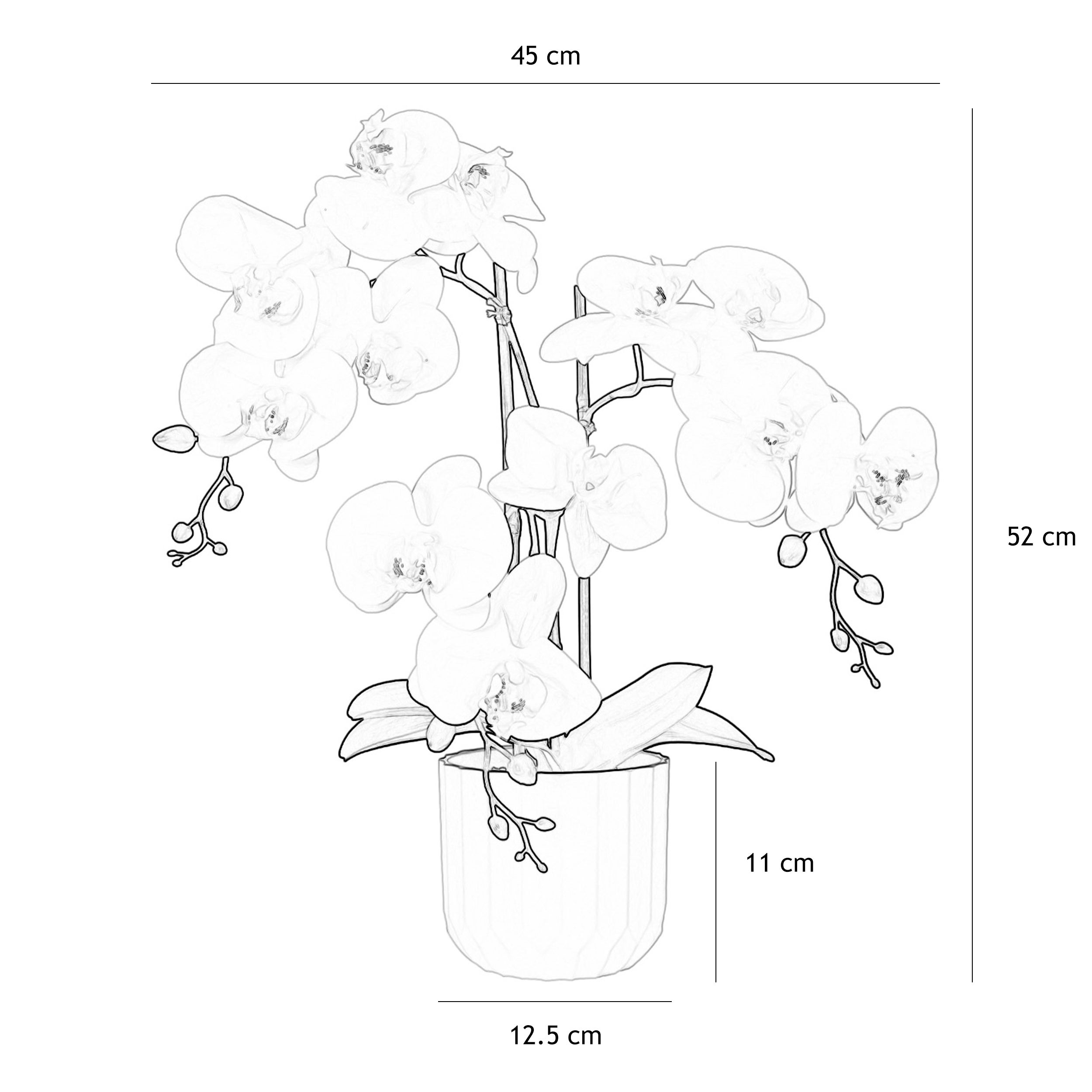 Orchidée artificielle toucher naturel blanc 52cm - 5