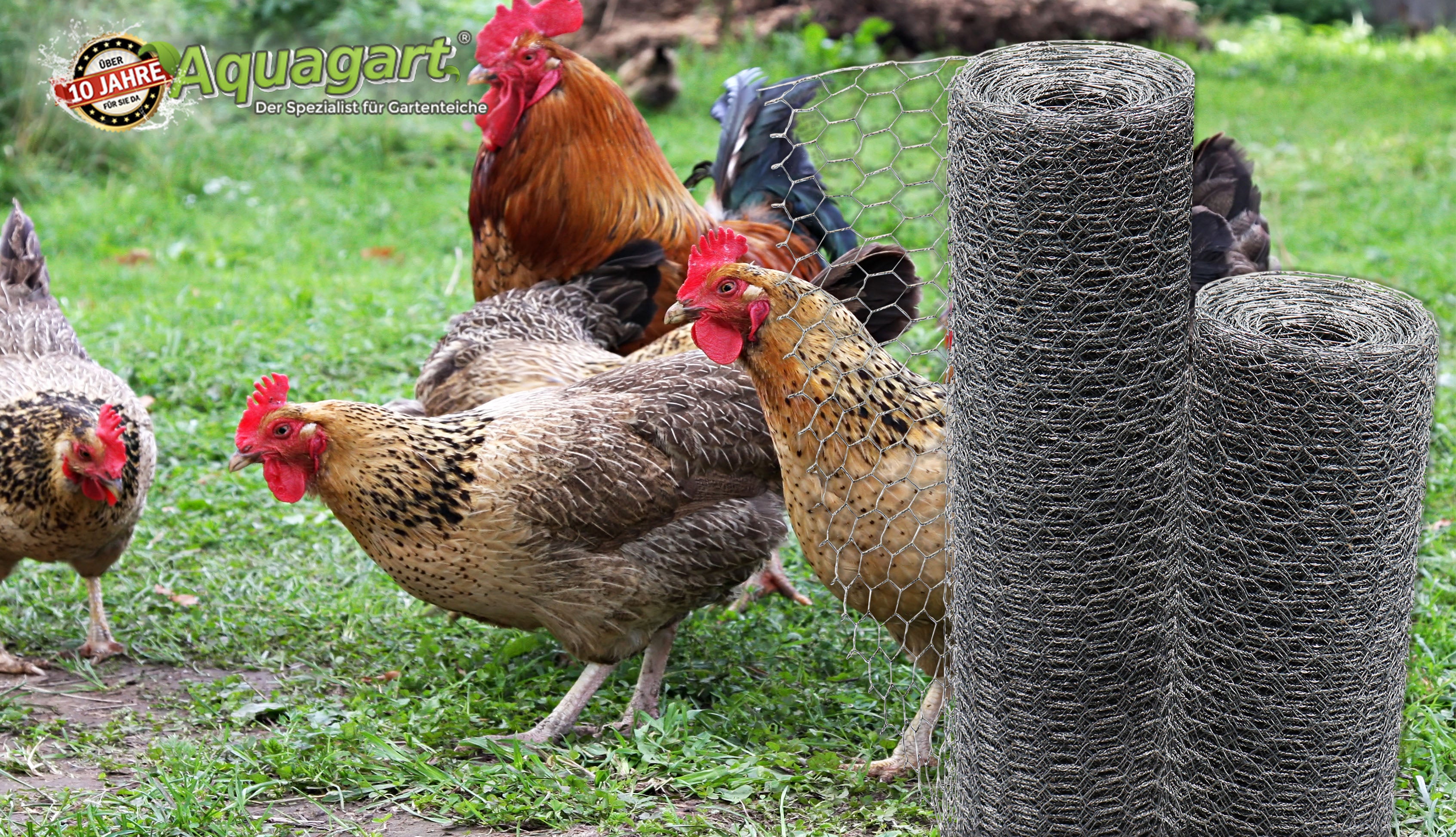 60m malha hexagonal cerca de frango fio de coelho fio de coelho fio de coelho 100cm 25mm - 2