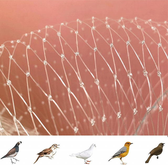 Filet Anti Oiseaux en Maille Filet de Protection Jardin, Filet Anti Transparent, Filet Anti-Oiseaux pour Balcon, Bassin, Fruits,(Size:3m x 5m)