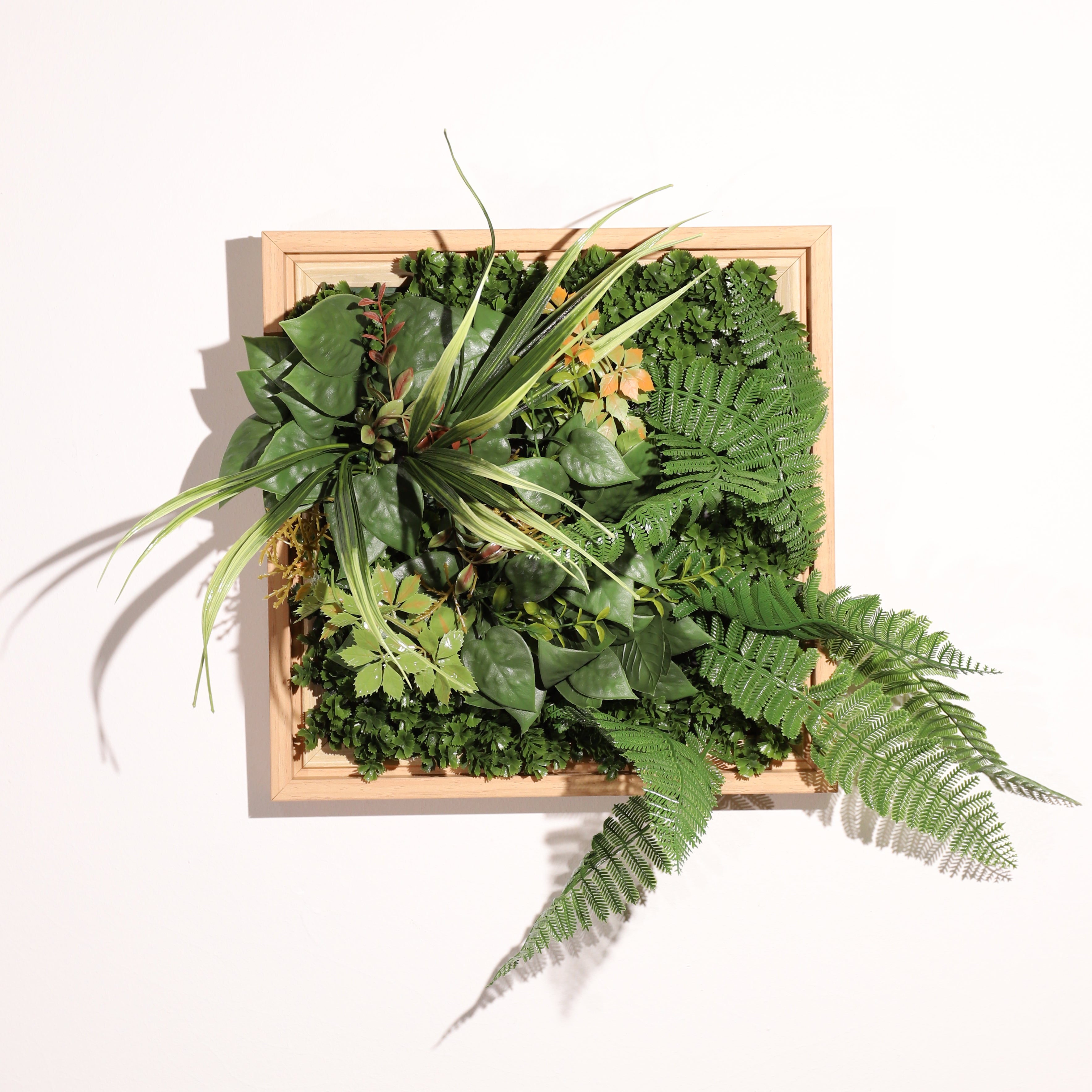 Cuadro Vegetal Artificial NATURING MONDE Natacha - 33 x 33 cm - 2