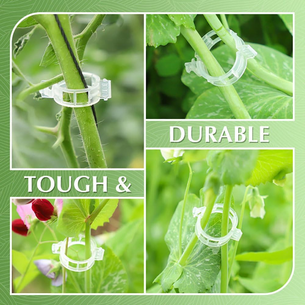 Plant Support Clips de Jardin Tomate Clips Support, Jardin Clips pour Les légumes Tomate Vigne tiges (100, Transparent)Vert - 6
