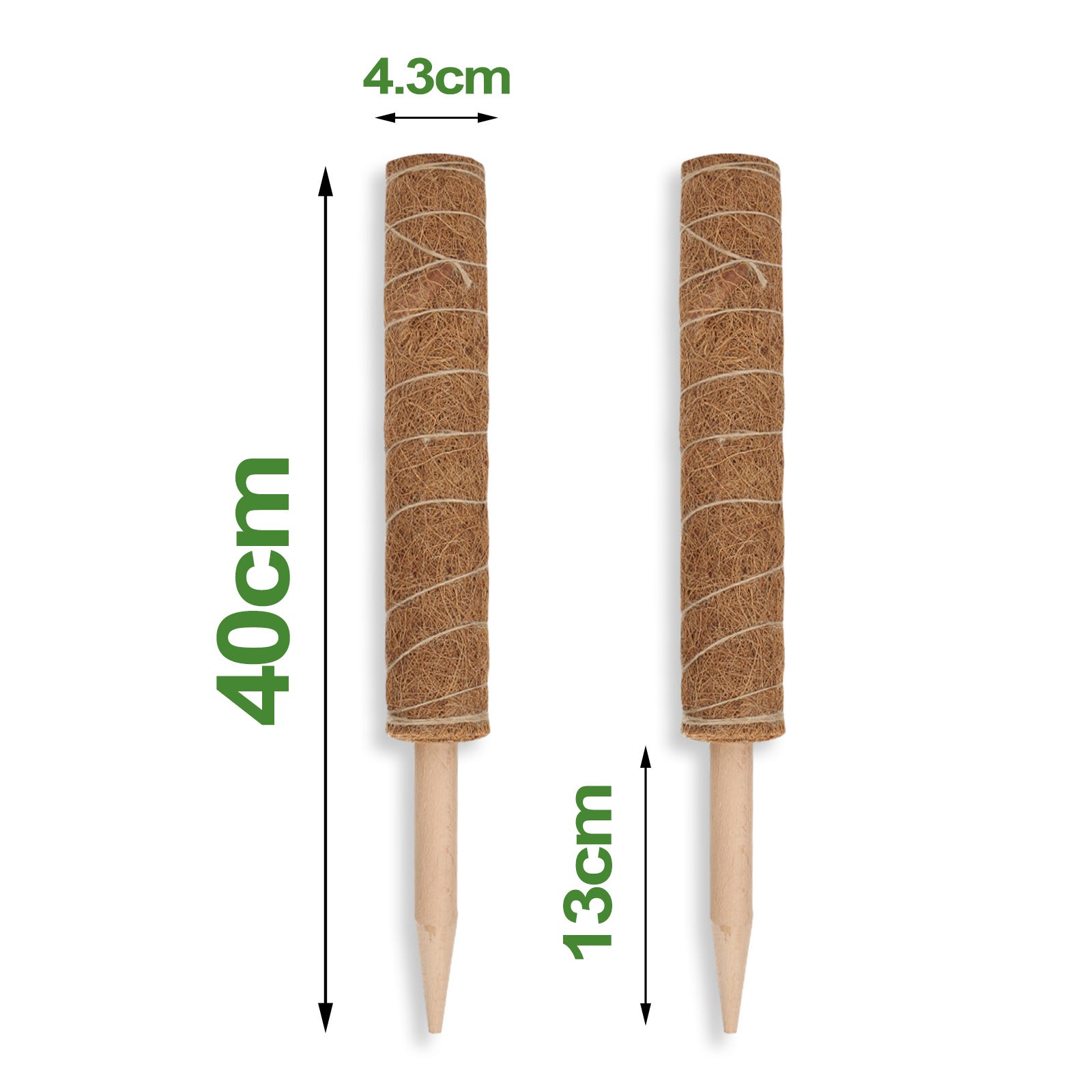 10 Pali Sostegno Piante 40cm - Supporto Per Piante A Stelo Con Anelli E Fascette - Foto 7