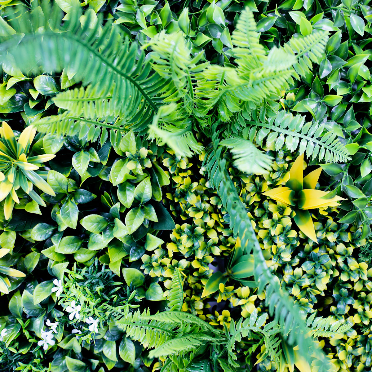 Plaque de 1m x 1m Mur Vegetale Artificiel Jungle MGS - 6