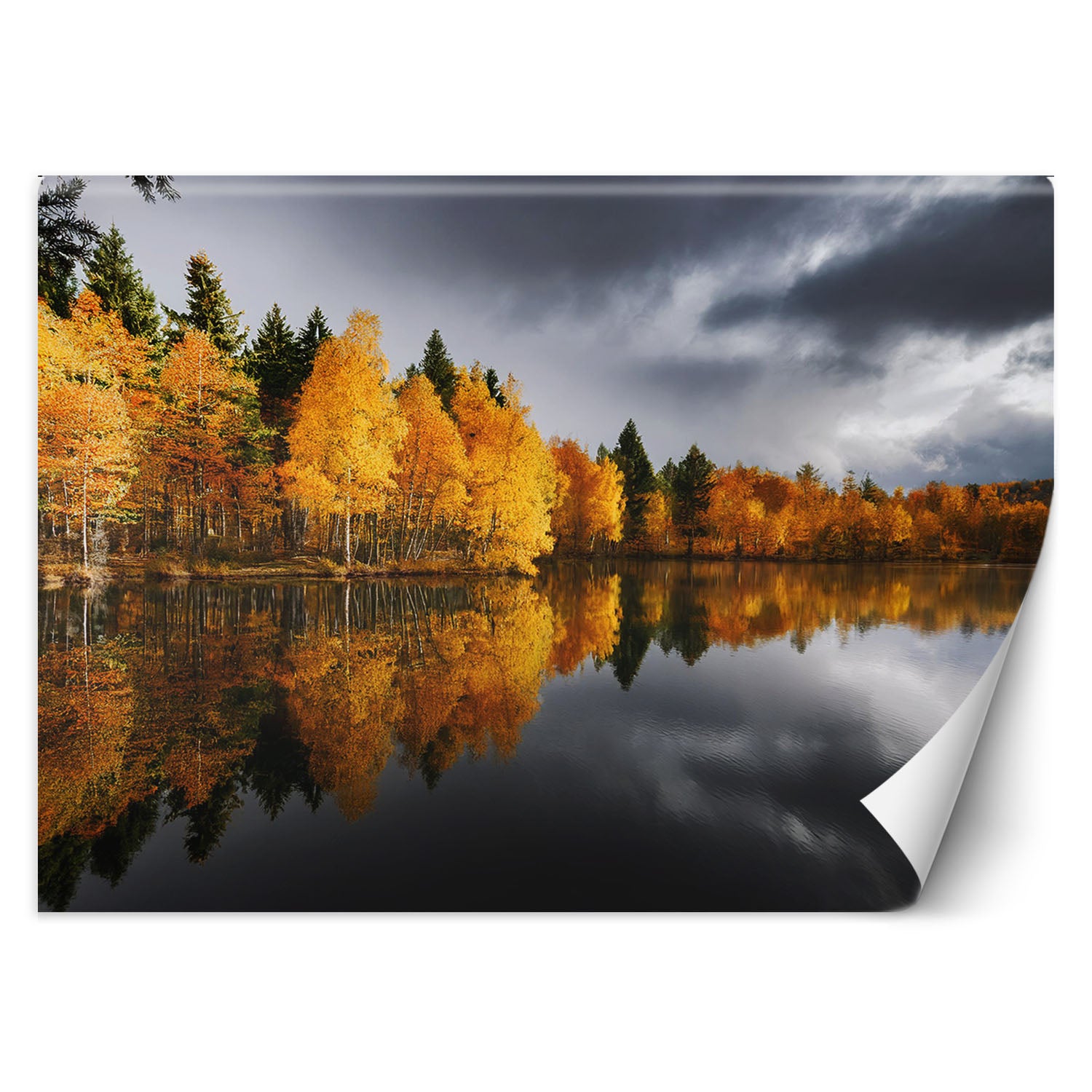 Fototapeta, Jesienny Las nad Jeziorem 150x105
