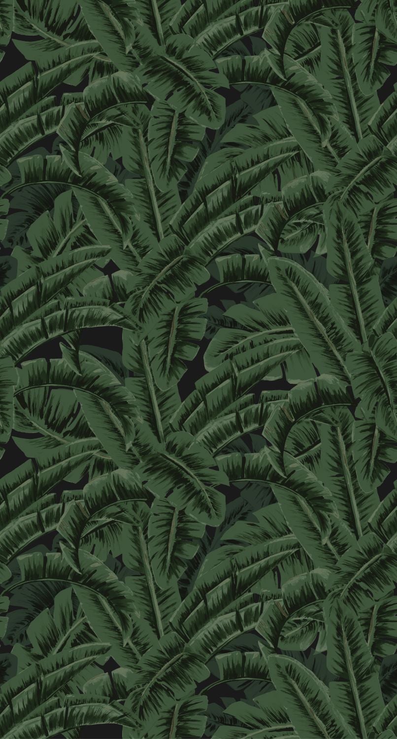 Fotomural hojas de banano verde selva tropical - 150 x 279 cm - estahome
